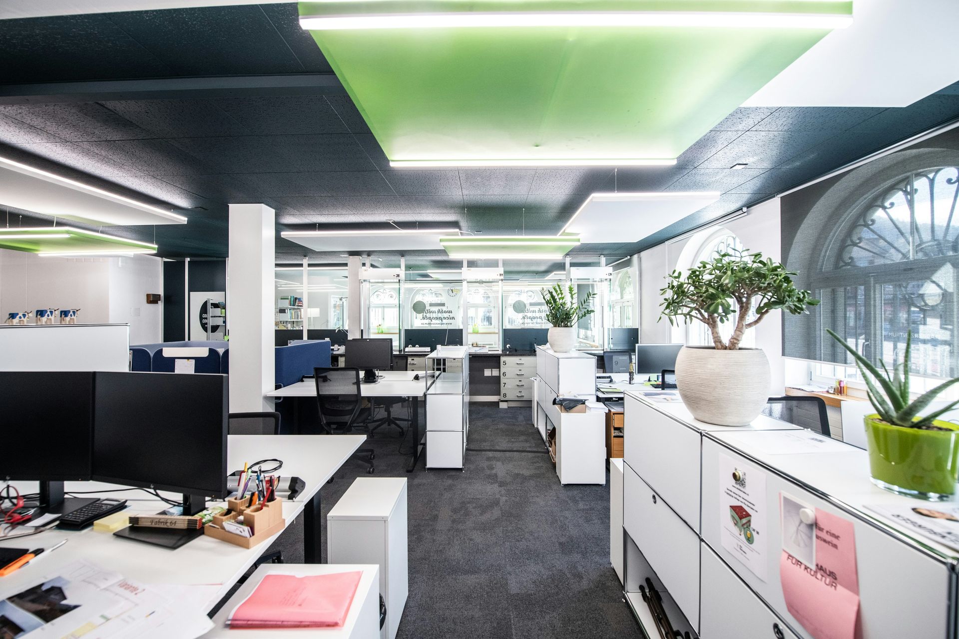 Modern office with white desks, monitors, and plants under a black ceiling with green accents and large arched window.