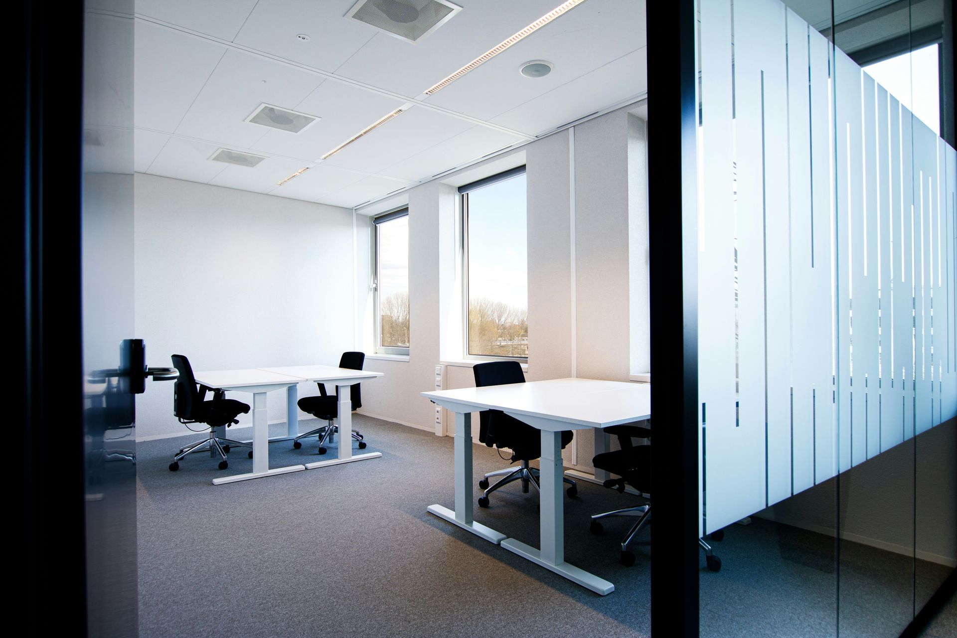 Modern office with two white desks, black chairs, and patterned glass wall.