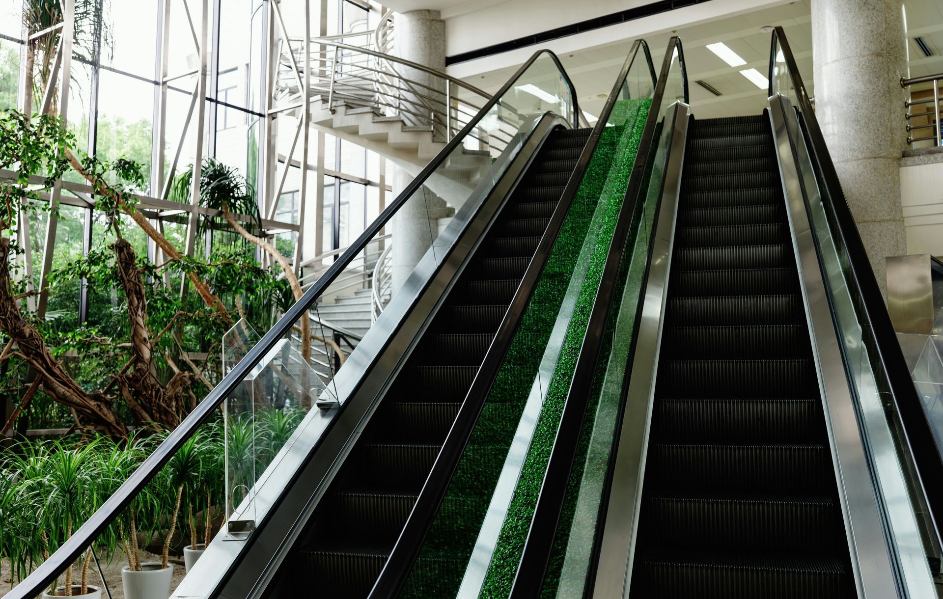 Escalators in a building with greenery, leading upwards. Glass windows, a staircase visible.