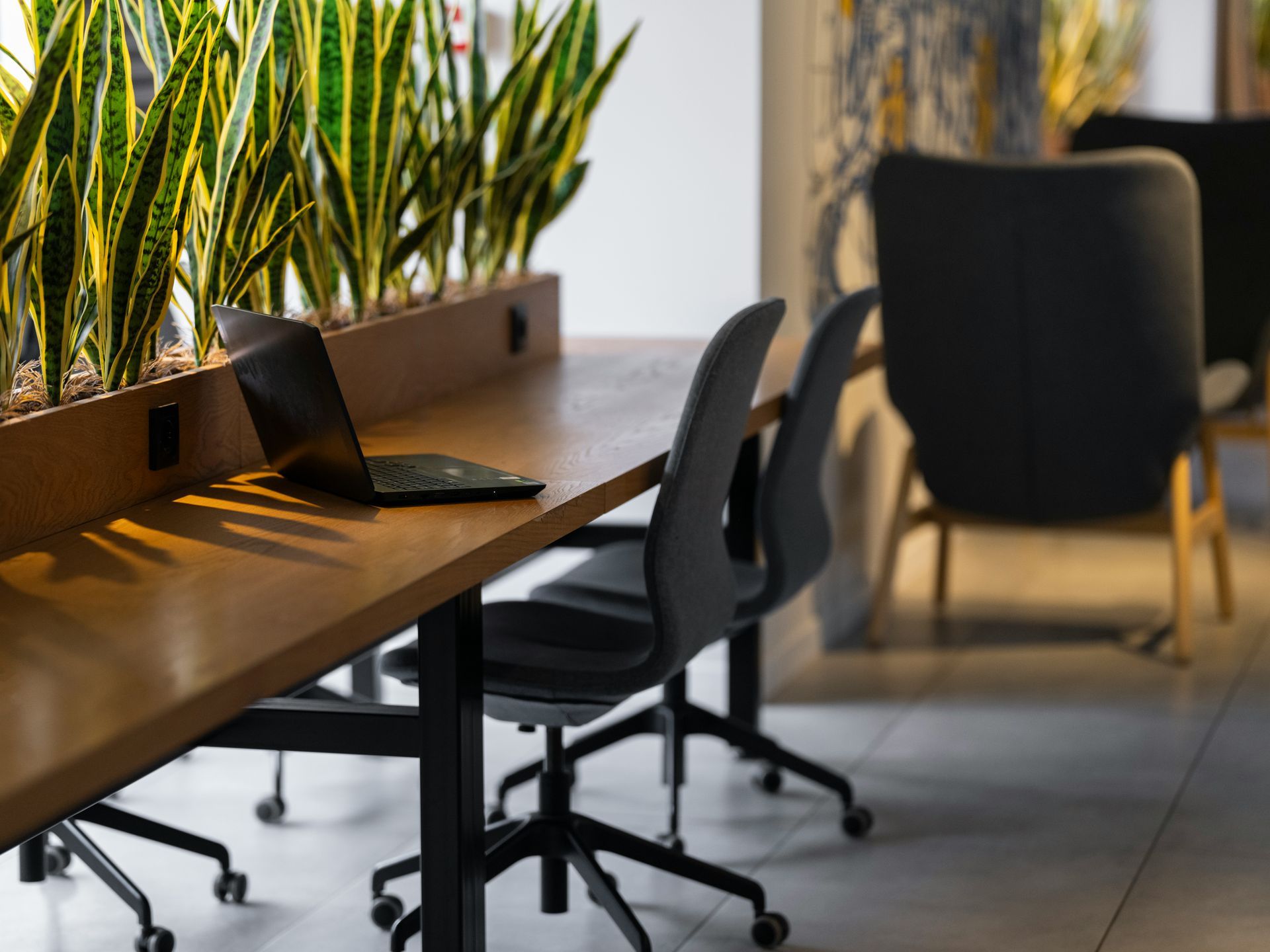 Bright white office with desk, computer, chair, plant, and trash can.