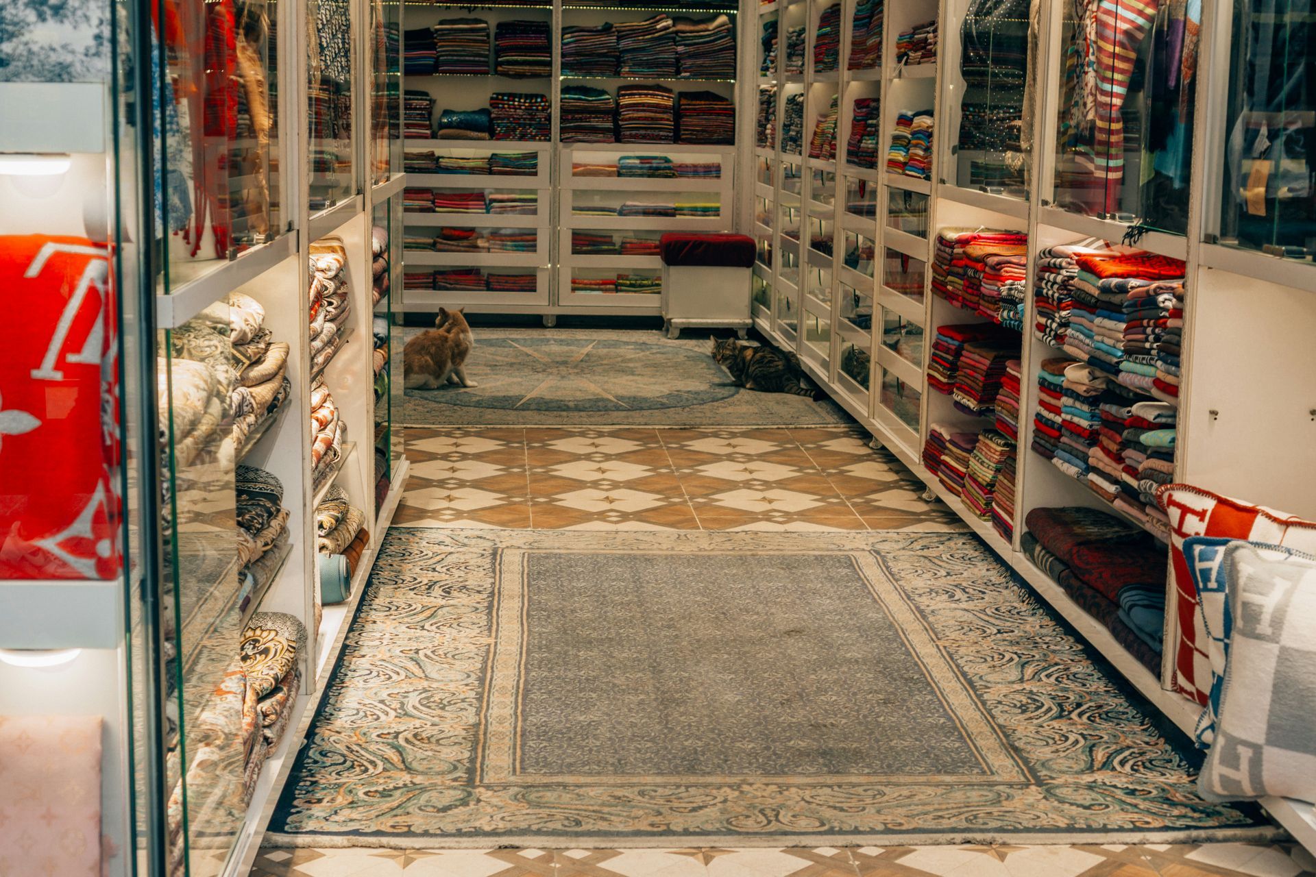 A rug shop interior with rows of shelves displaying colorful textiles. Two cats rest on the floor.
