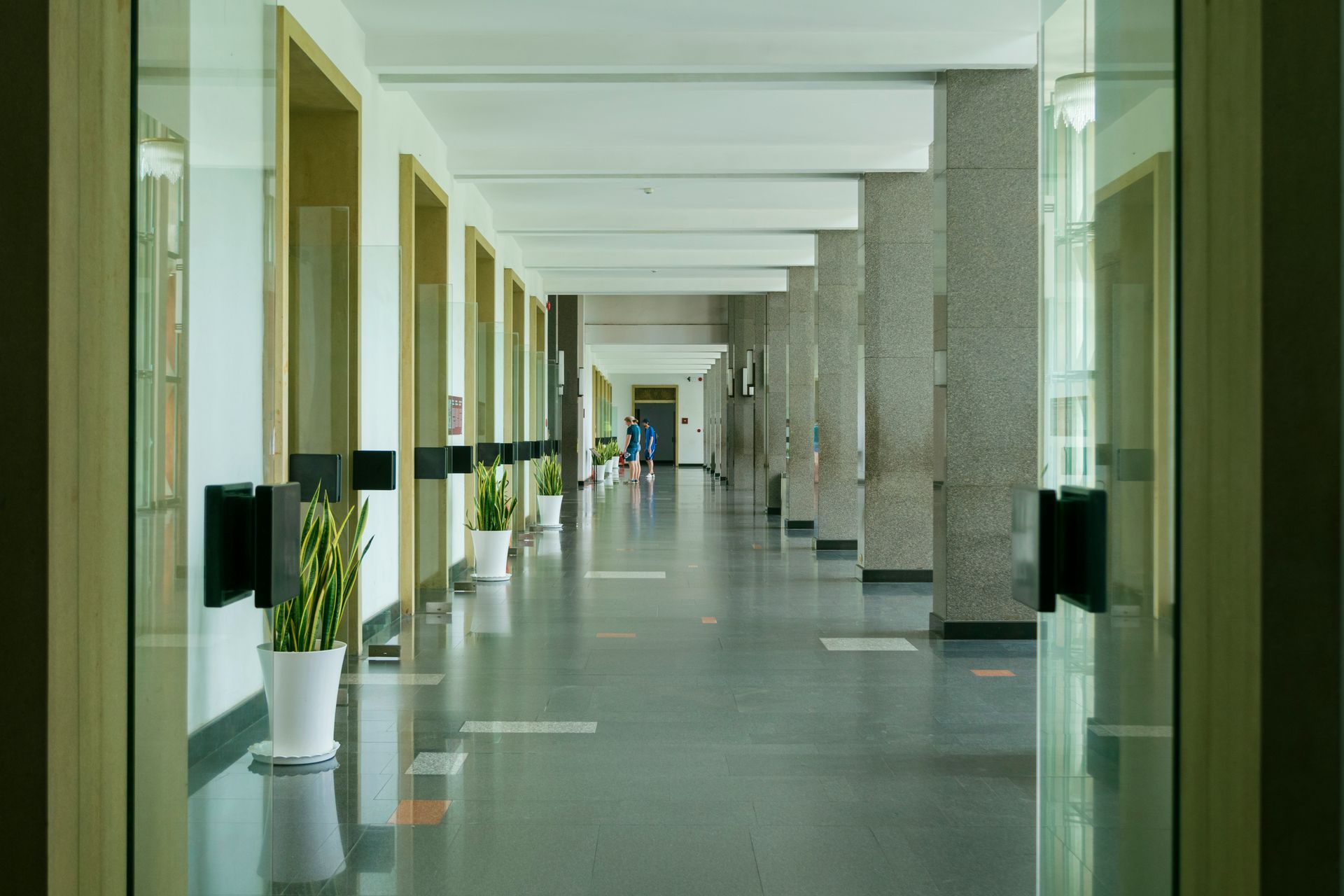 Hallway with columns and doors, plants line the side. Sunlight reflects off the glass.