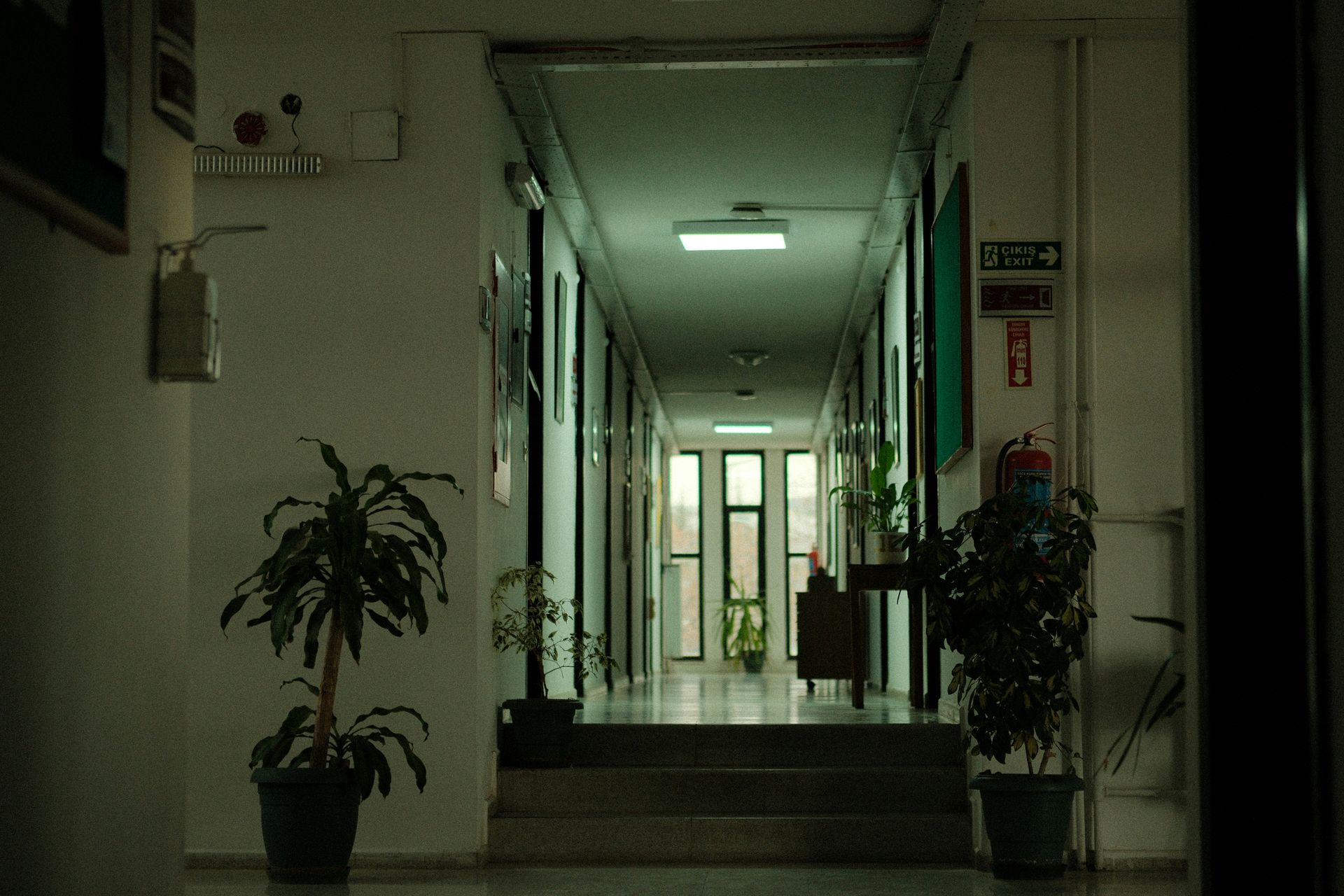 Long, empty school hallway with plants and natural light at the end.