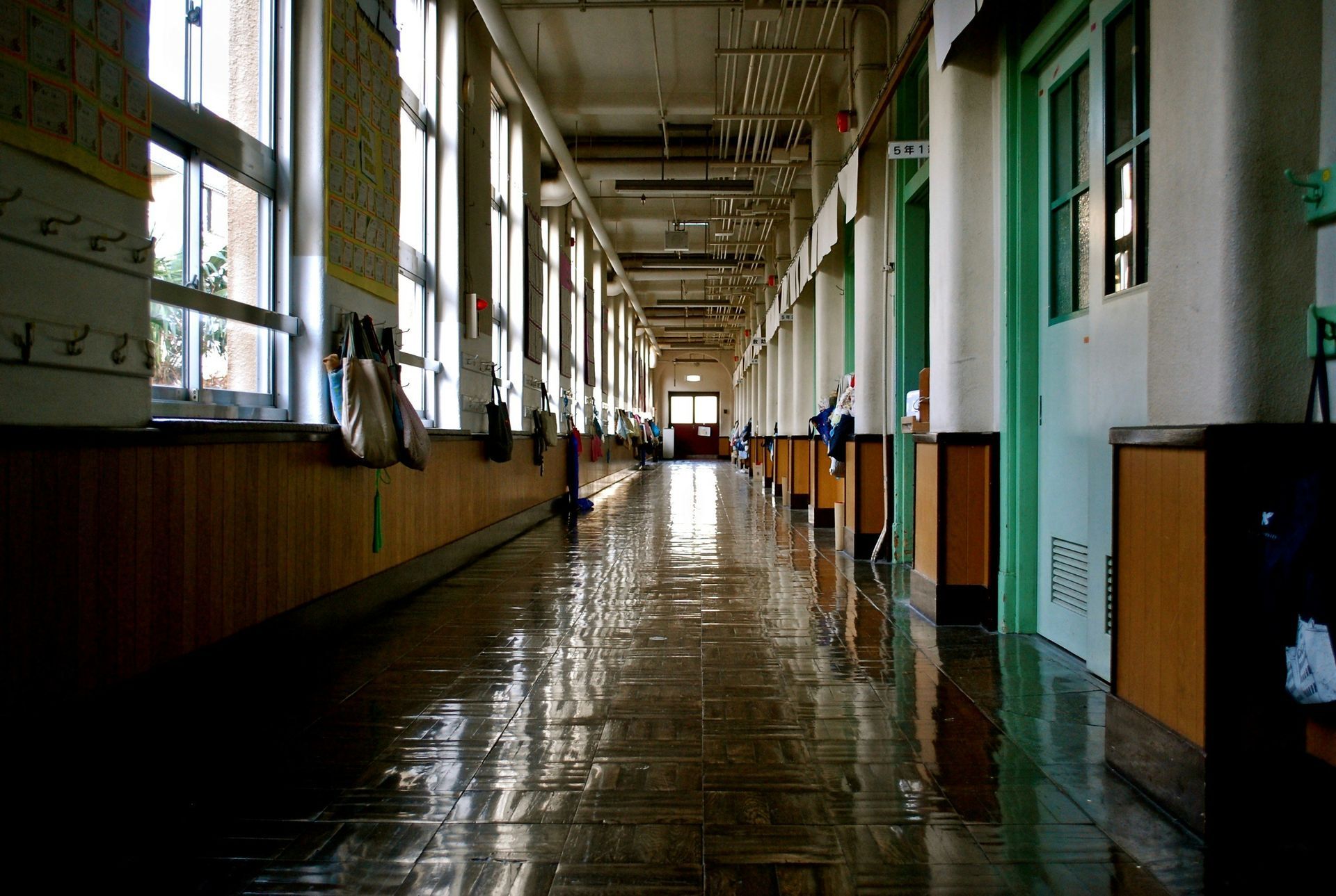 School hallway with sunlight on glossy floor. Windows on left, closed doors on right.