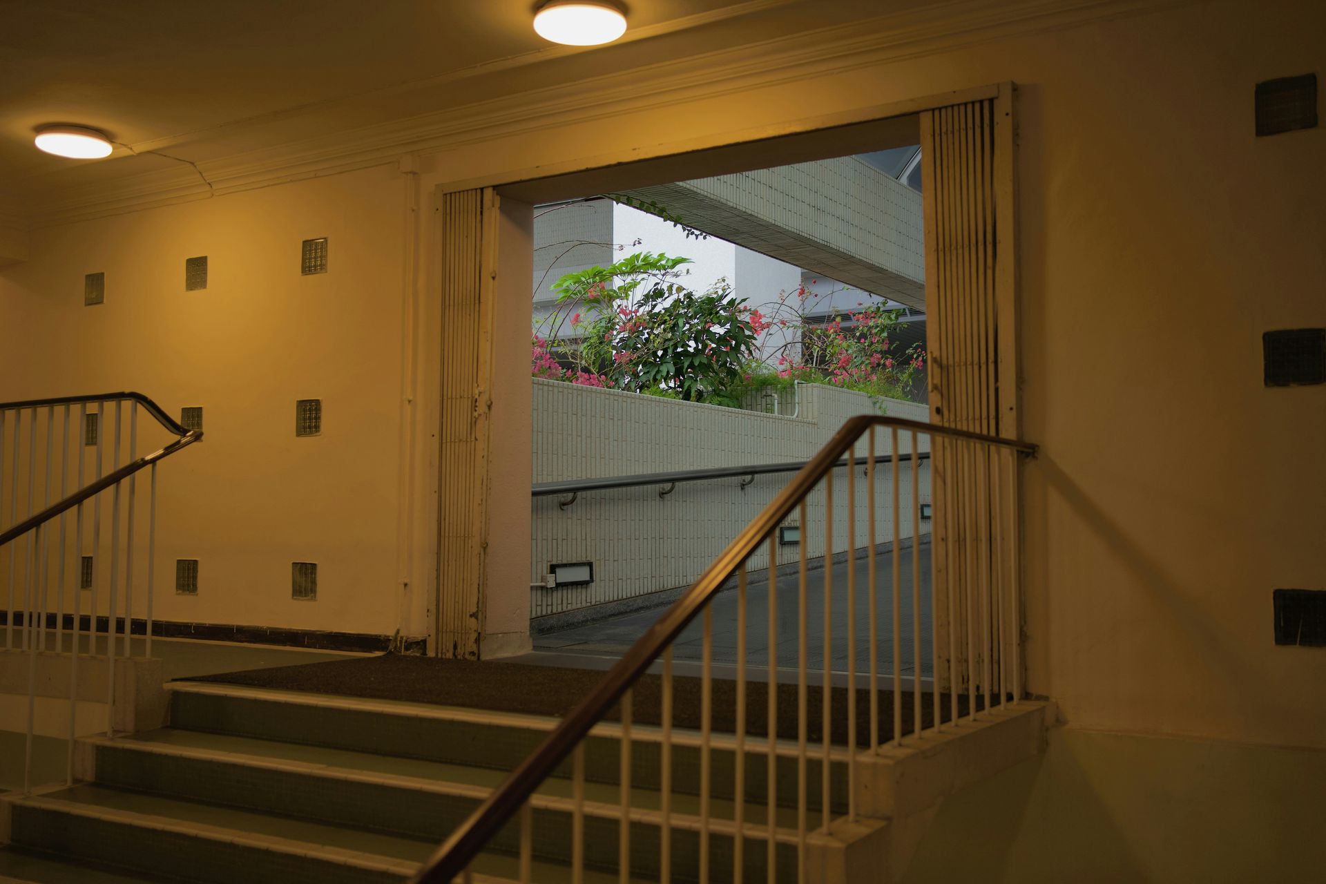 Staircase leading to an outdoor area with lush plants; interior lit by overhead lights.