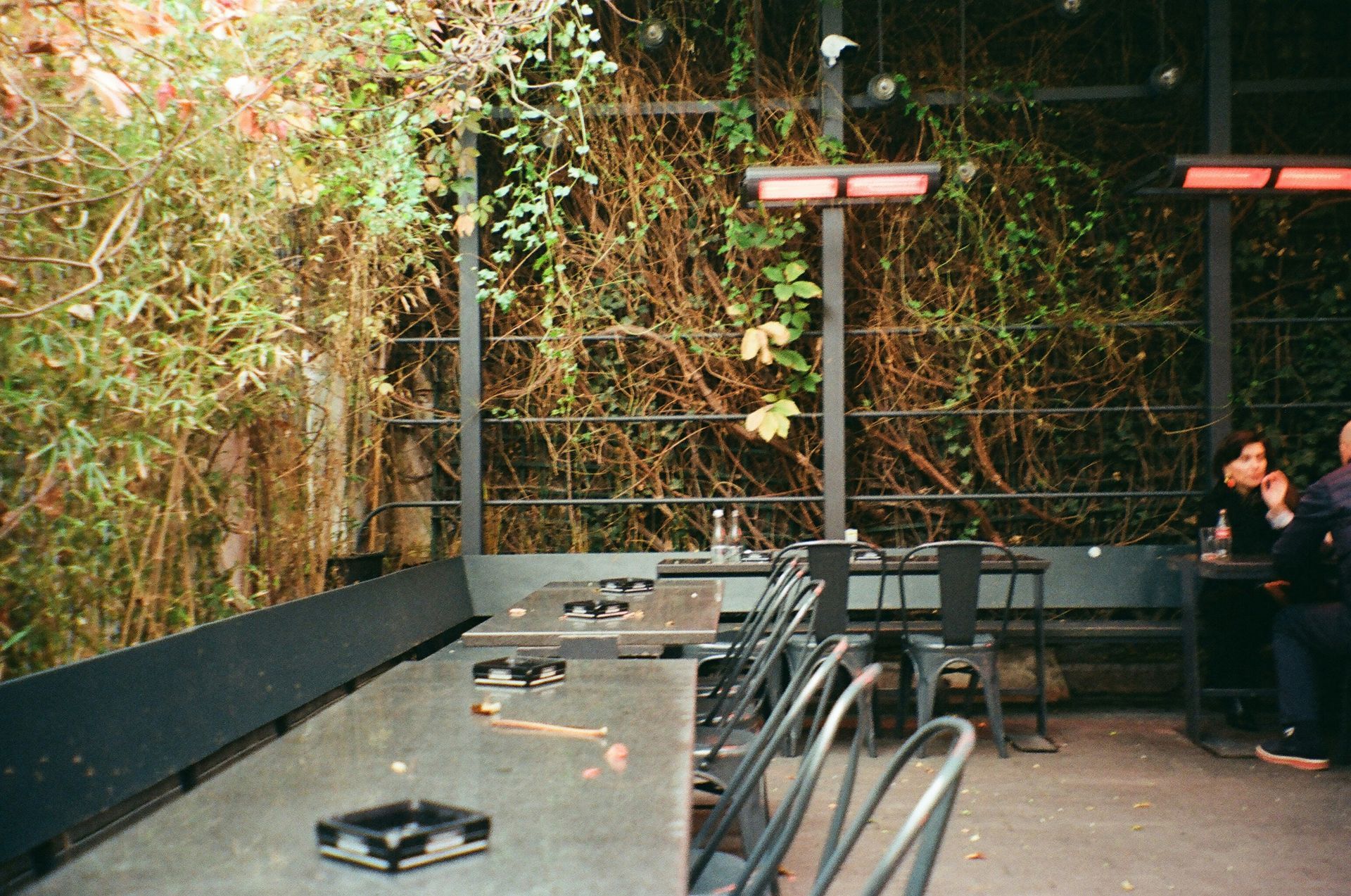 Outdoor restaurant seating with vine-covered wall, tables, chairs, and two people at a table.