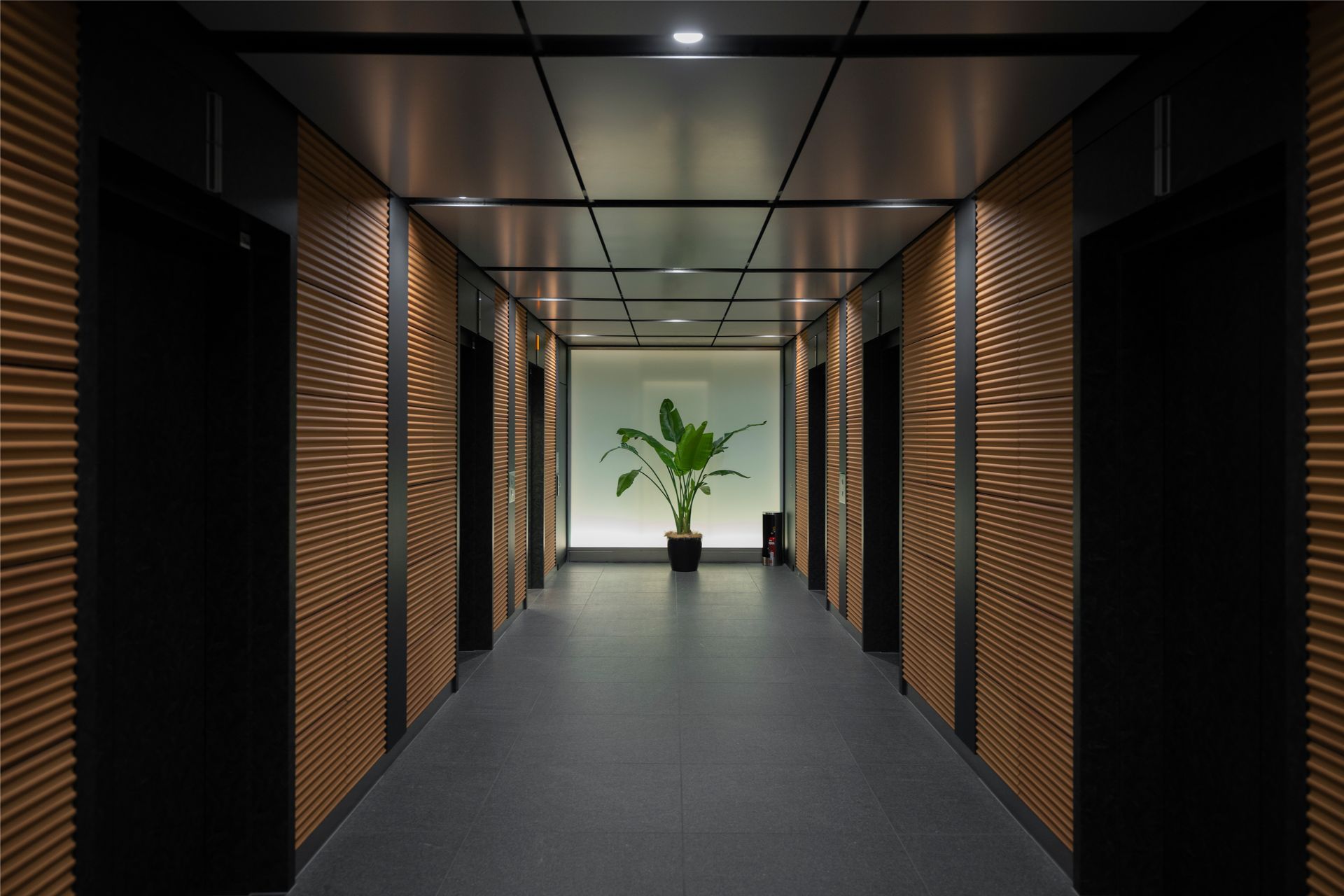 Narrow hallway with wooden paneling, black doors, and a plant at the end, lit by overhead lights.