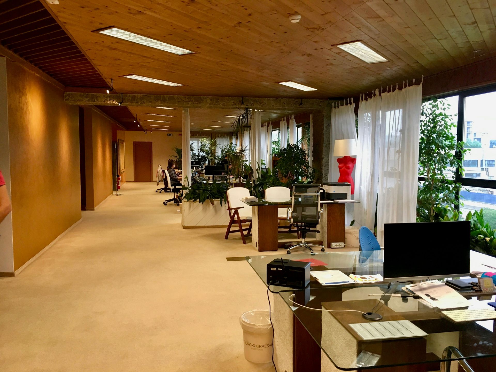 Spacious office with wooden ceiling and walls, desks, chairs, plants, and large windows overlooking a city.