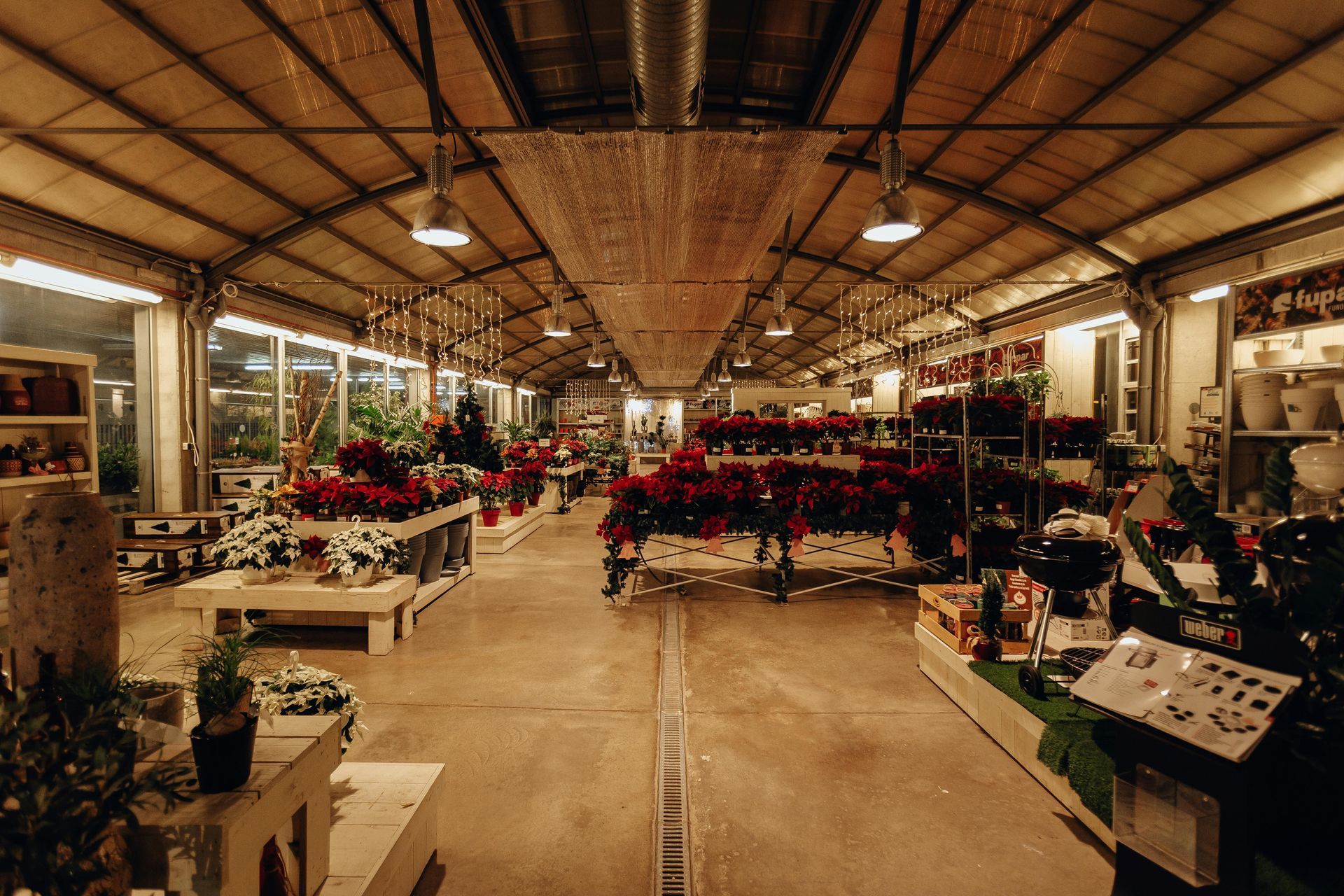 Inside a greenhouse, various plants and flowers are displayed on tables, lit by overhead lights.
