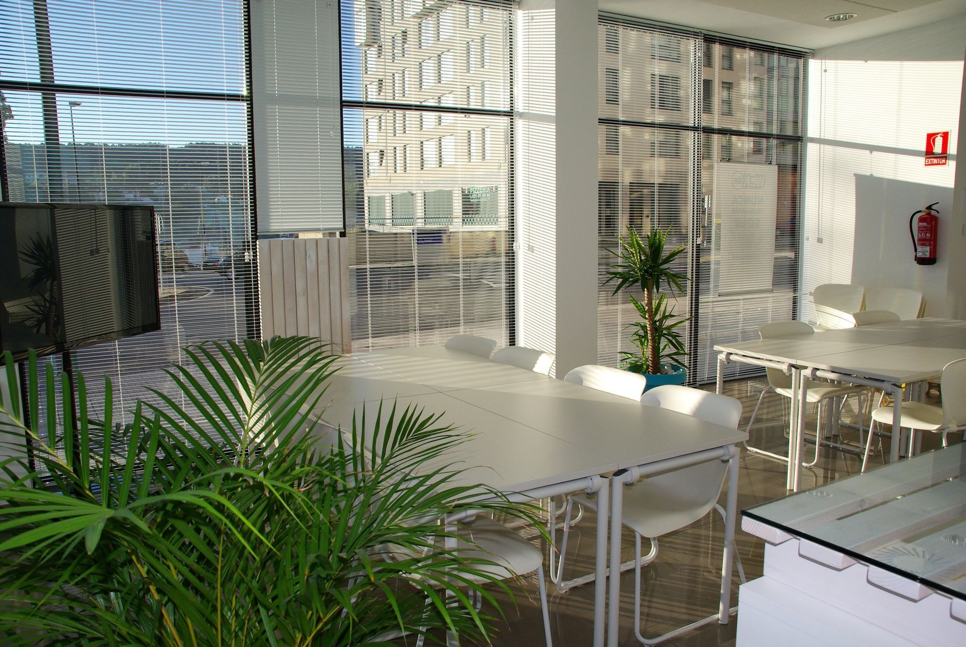 Bright, modern office space with large white tables, chairs, and a few potted plants near a large window with horizontal blinds.