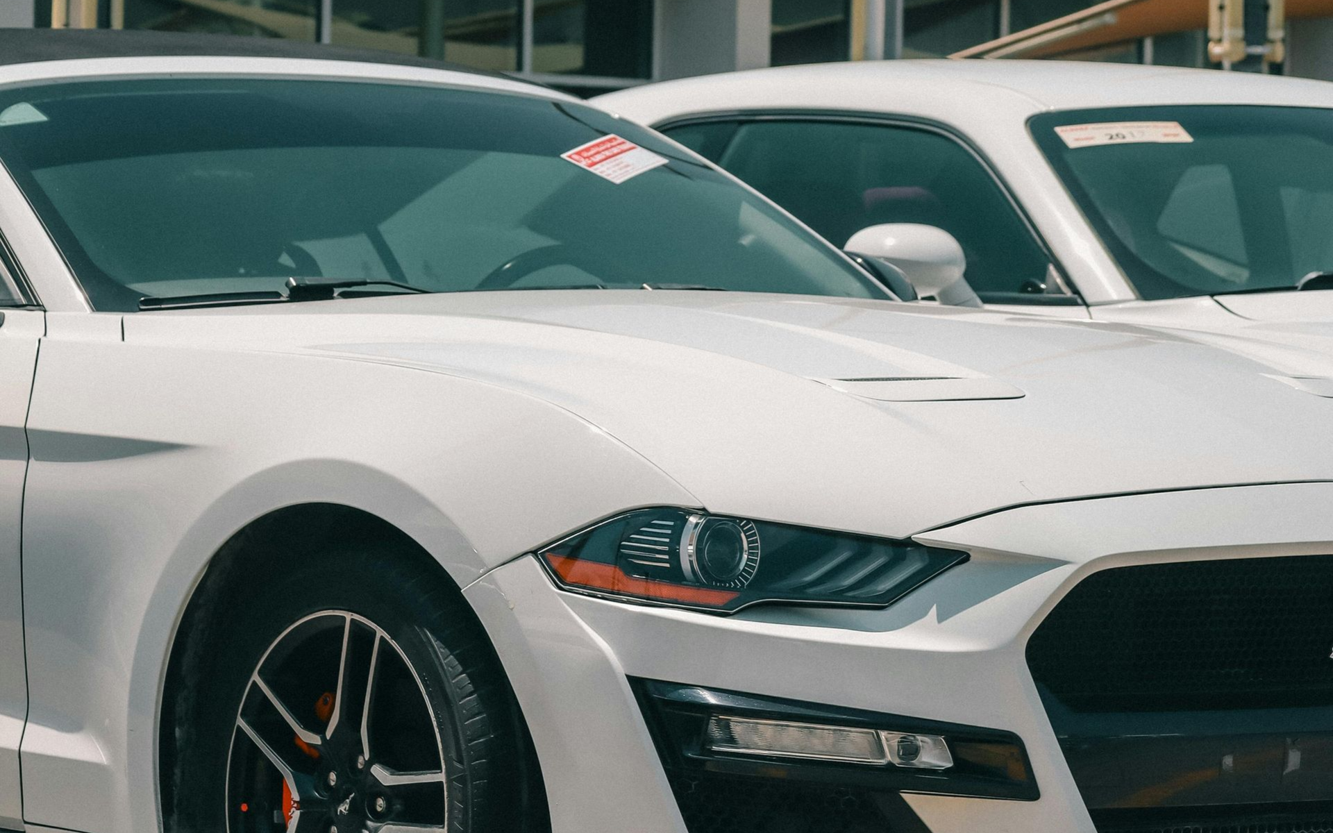 Red sports car's headlight and front quarter panel in Eagle, clean and shined by Noble Clean.