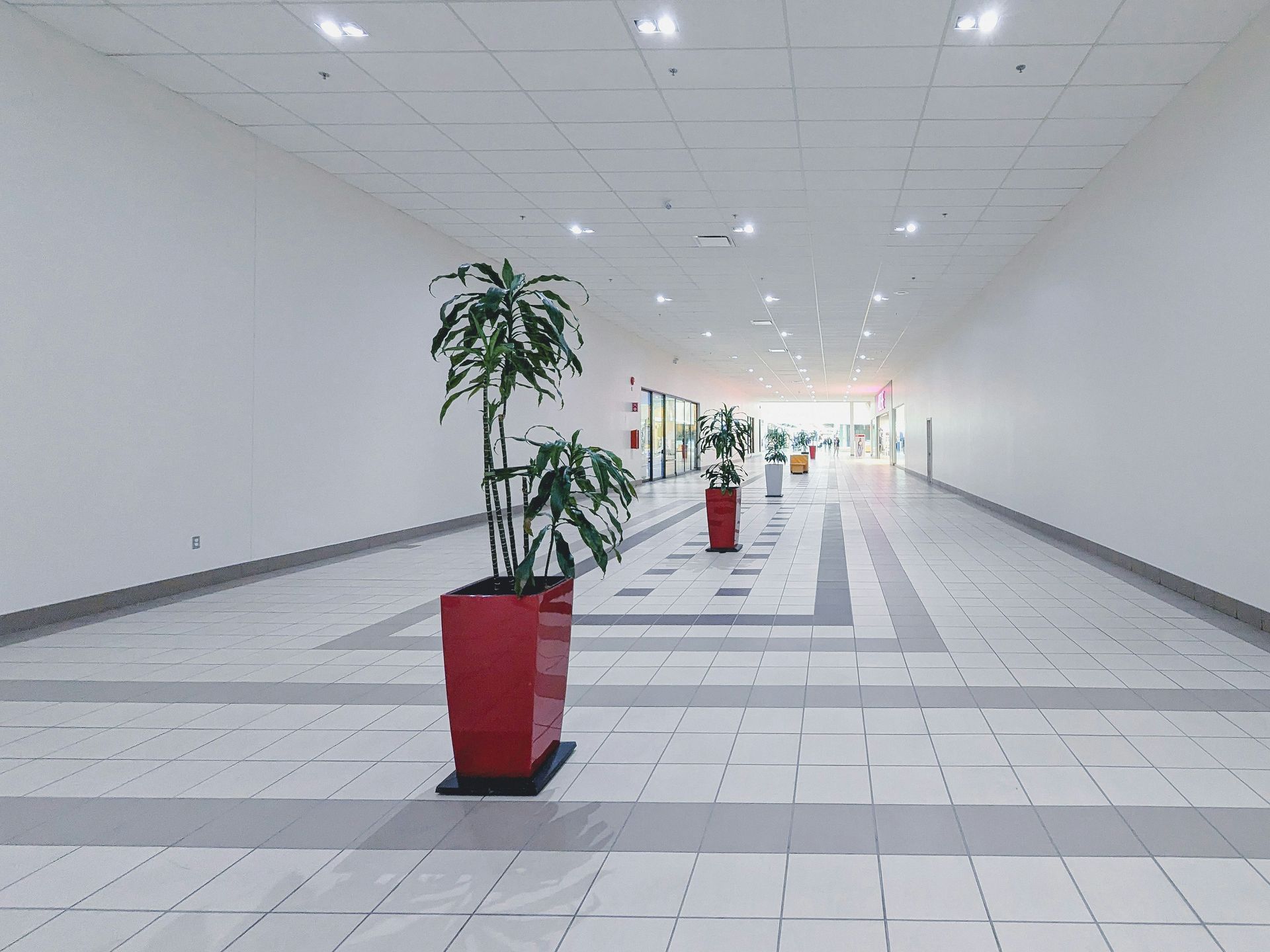 A long, empty hallway with red potted plants. White walls and floor, bright overhead lights.