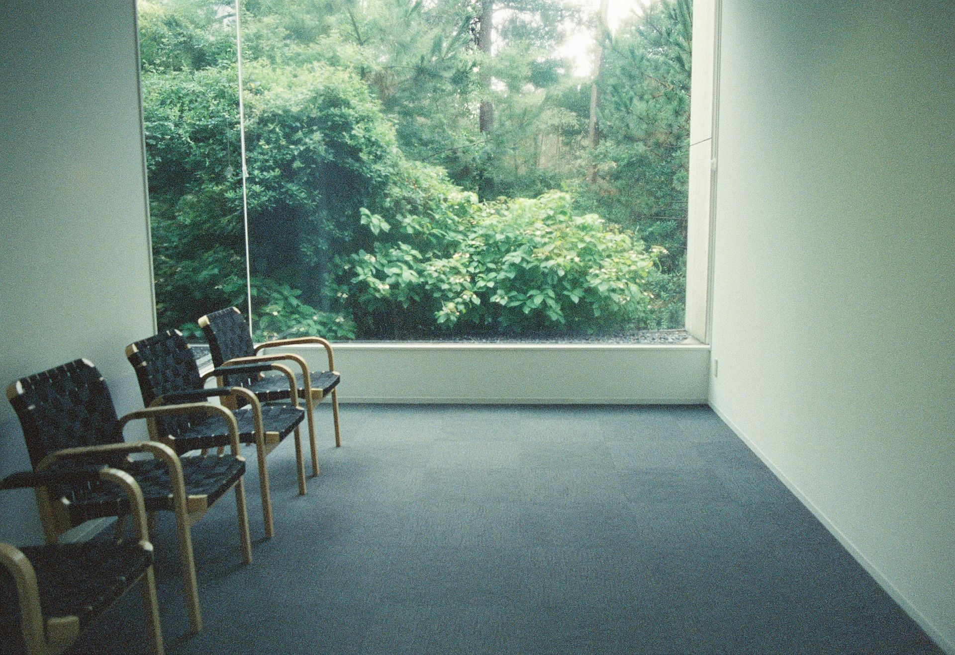 Empty chairs in a waiting area with a large window overlooking lush green trees.