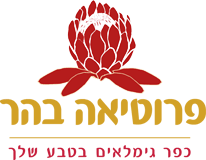 לוגו עם פרח אדום וכיתוב בעברית