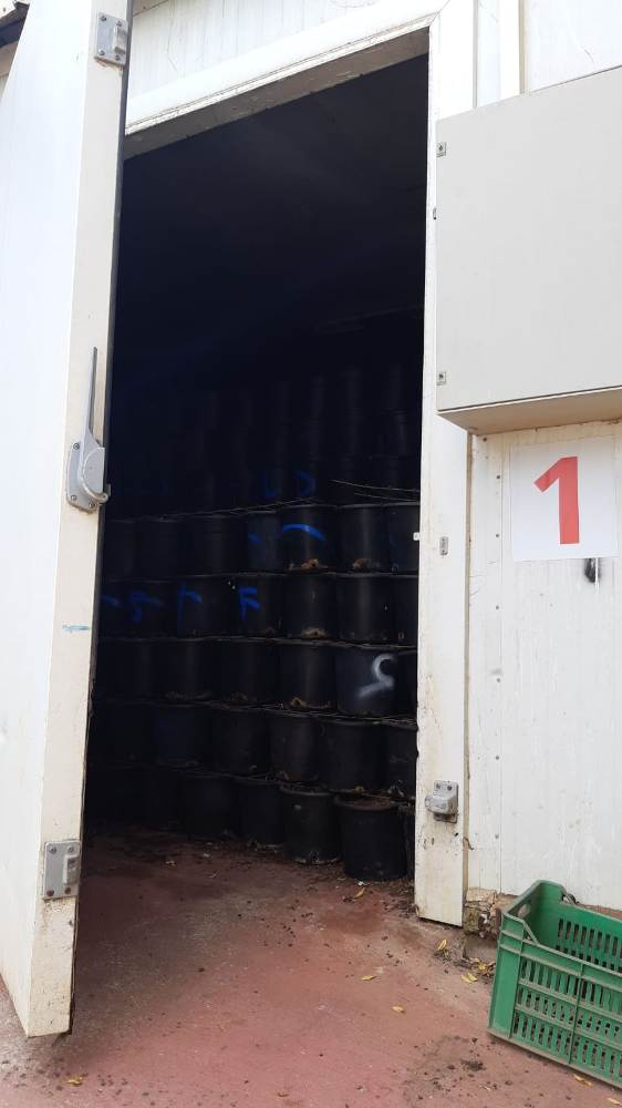 דלת גדולה פתוחה לחדר מלא דליים.