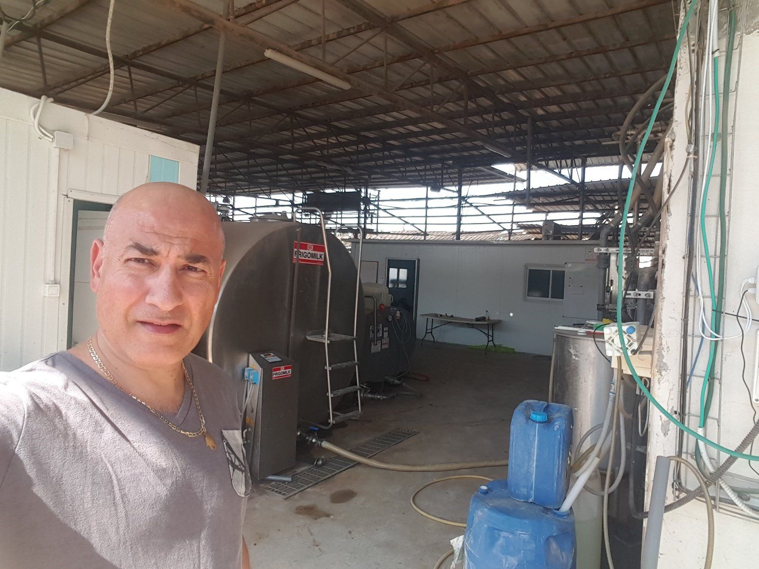 גבר קירח מצלם סלפי בחוות חלב.