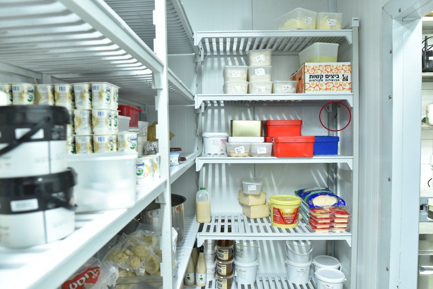 מקרר מלא בהרבה אוכל ומיכלים.