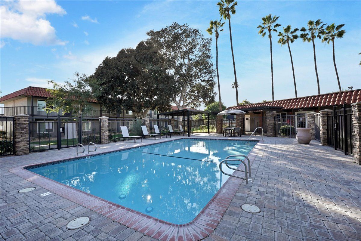 A large swimming pool with palm trees in the background