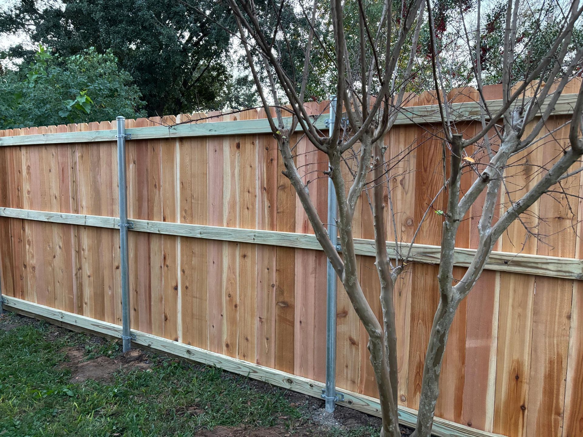 A wooden fence is surrounded by trees in a backyard.