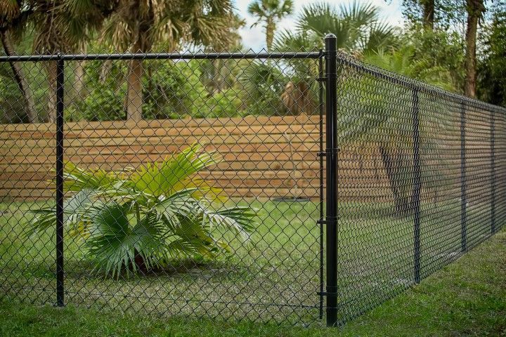 Black chain-link fence in a grassy yard, with tropical plants and trees in the background.