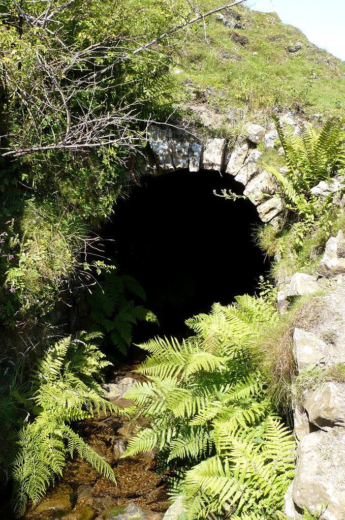 A dark stone-arched tunnel entrance surrounded by lush green ferns and rocks, with a shallow stream flowing beneath it.
