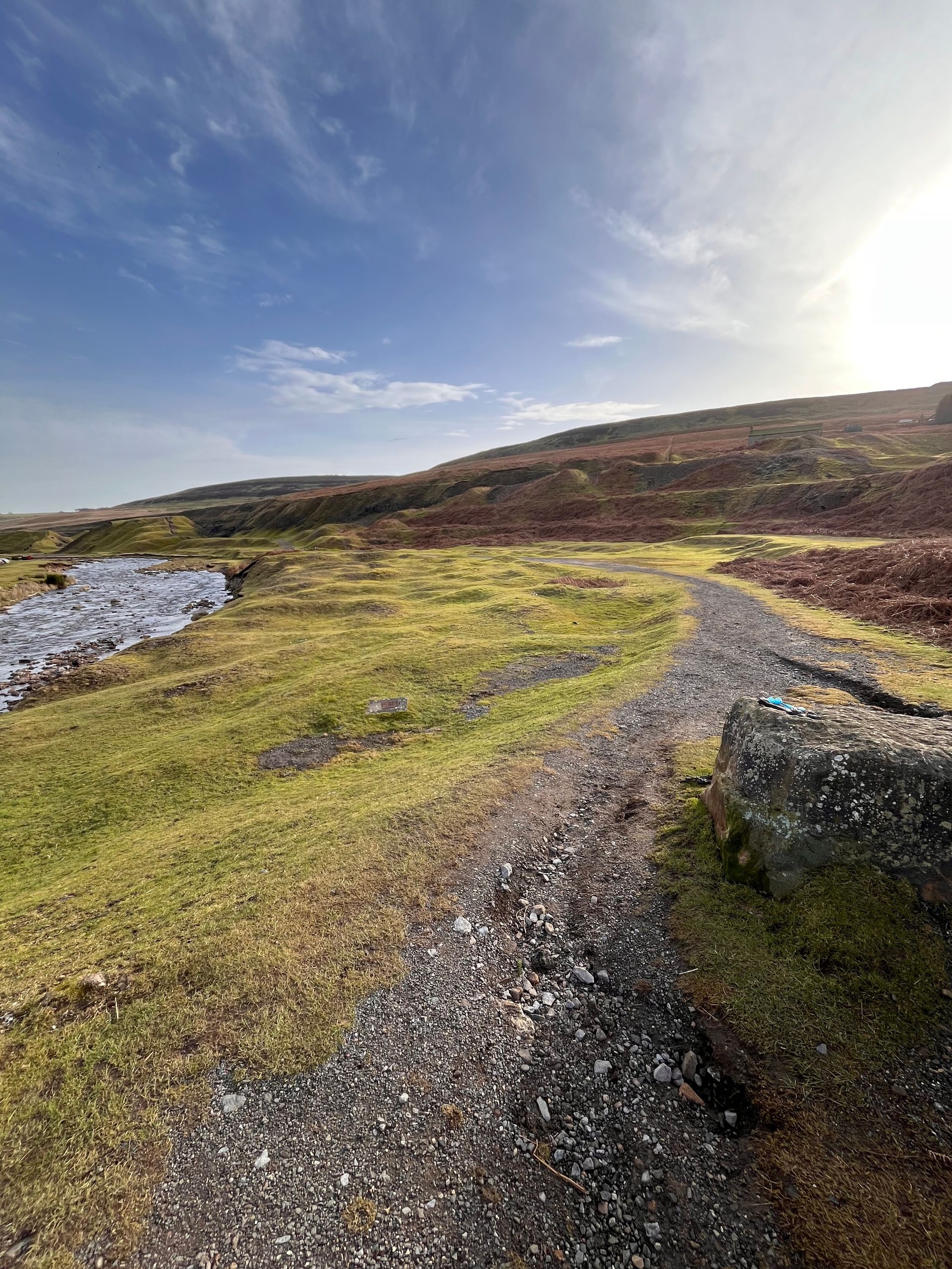A dirt road going through a grassy field with a mountain in the background.