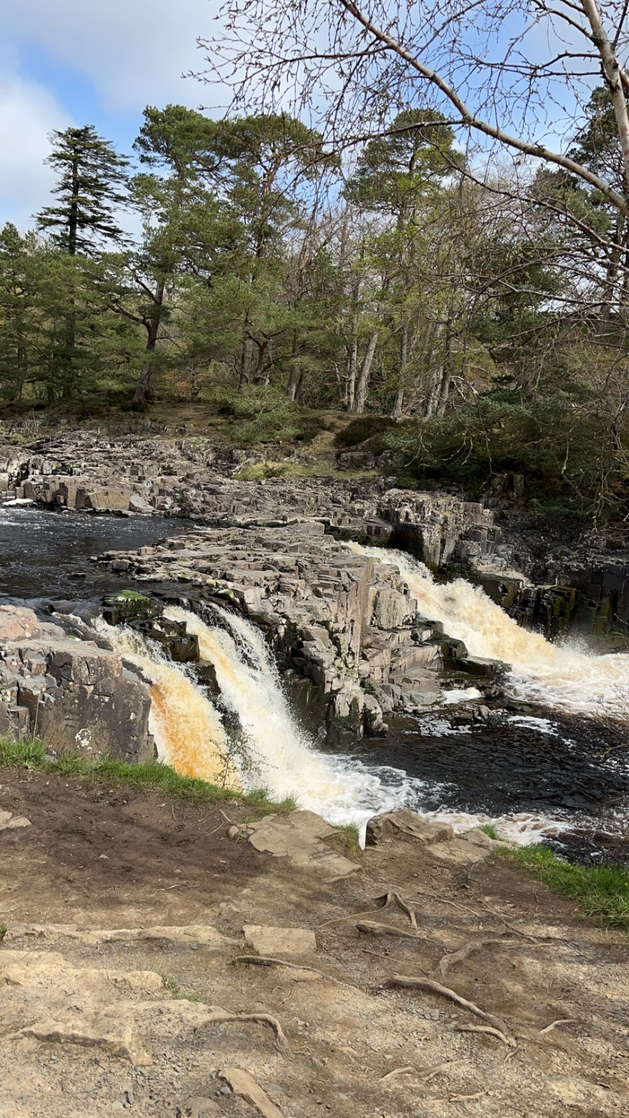 A waterfall is surrounded by rocks and trees in the middle of a forest.