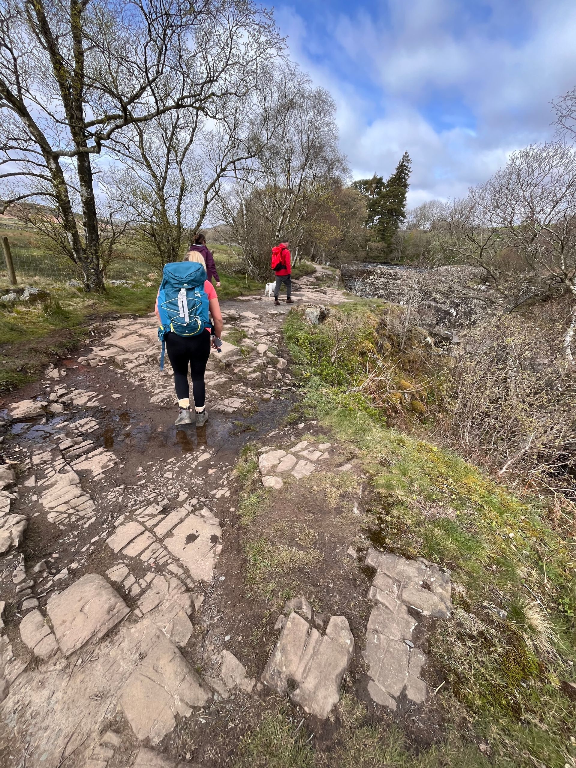 A group of people are walking down a dirt path.