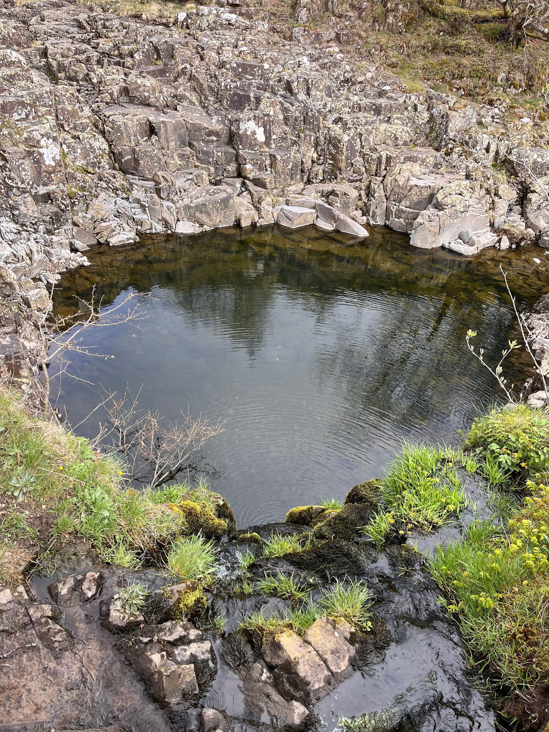 A small pond surrounded by rocks and grass in the middle of a rocky area.