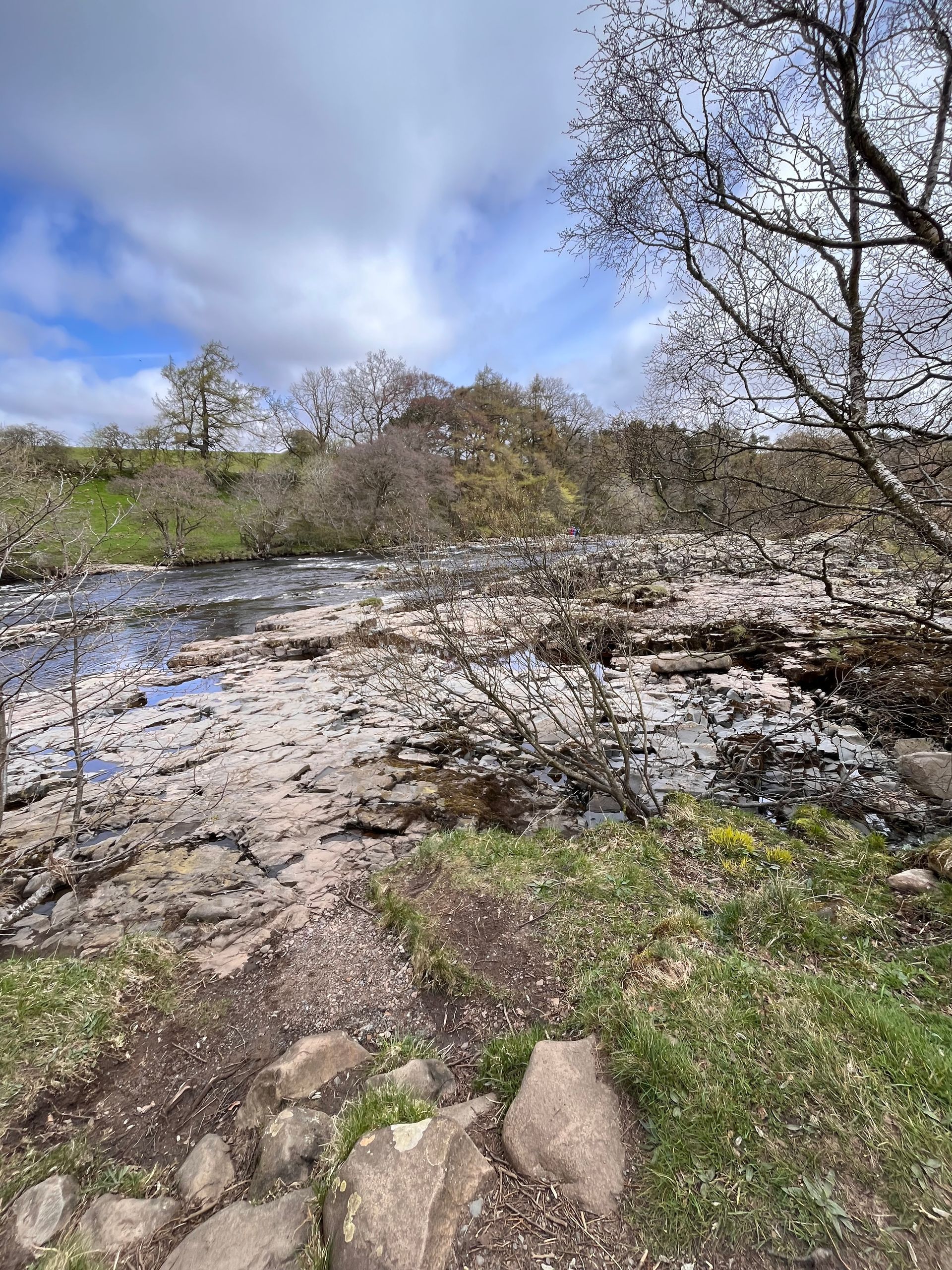 A river runs through a rocky area with trees in the background.
