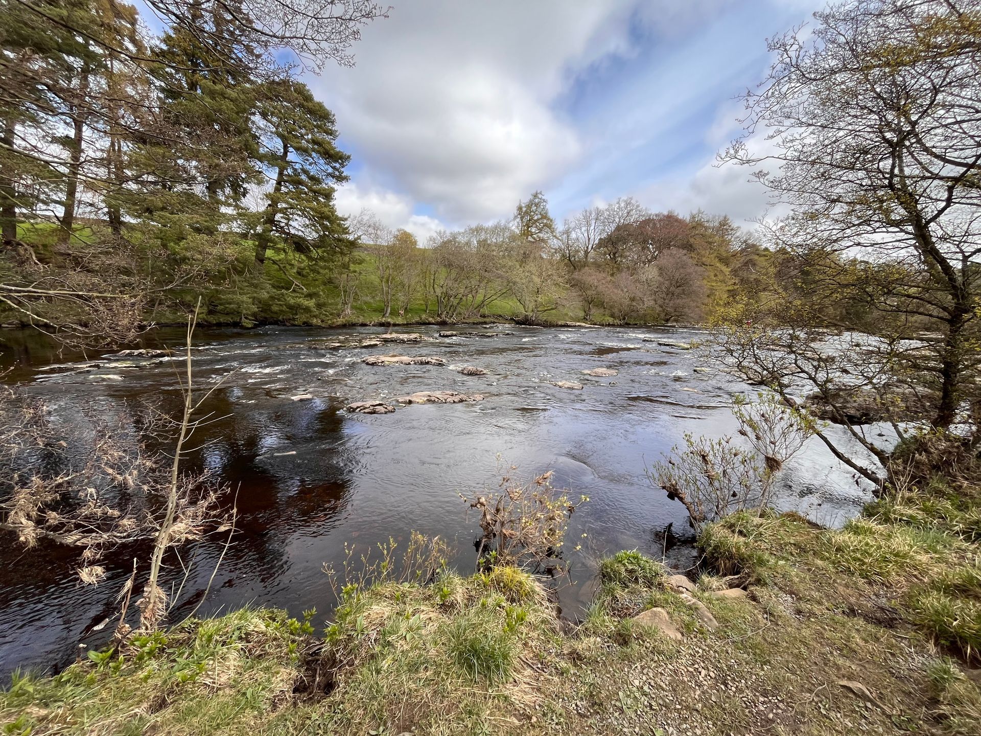 A large body of water surrounded by trees on a sunny day.