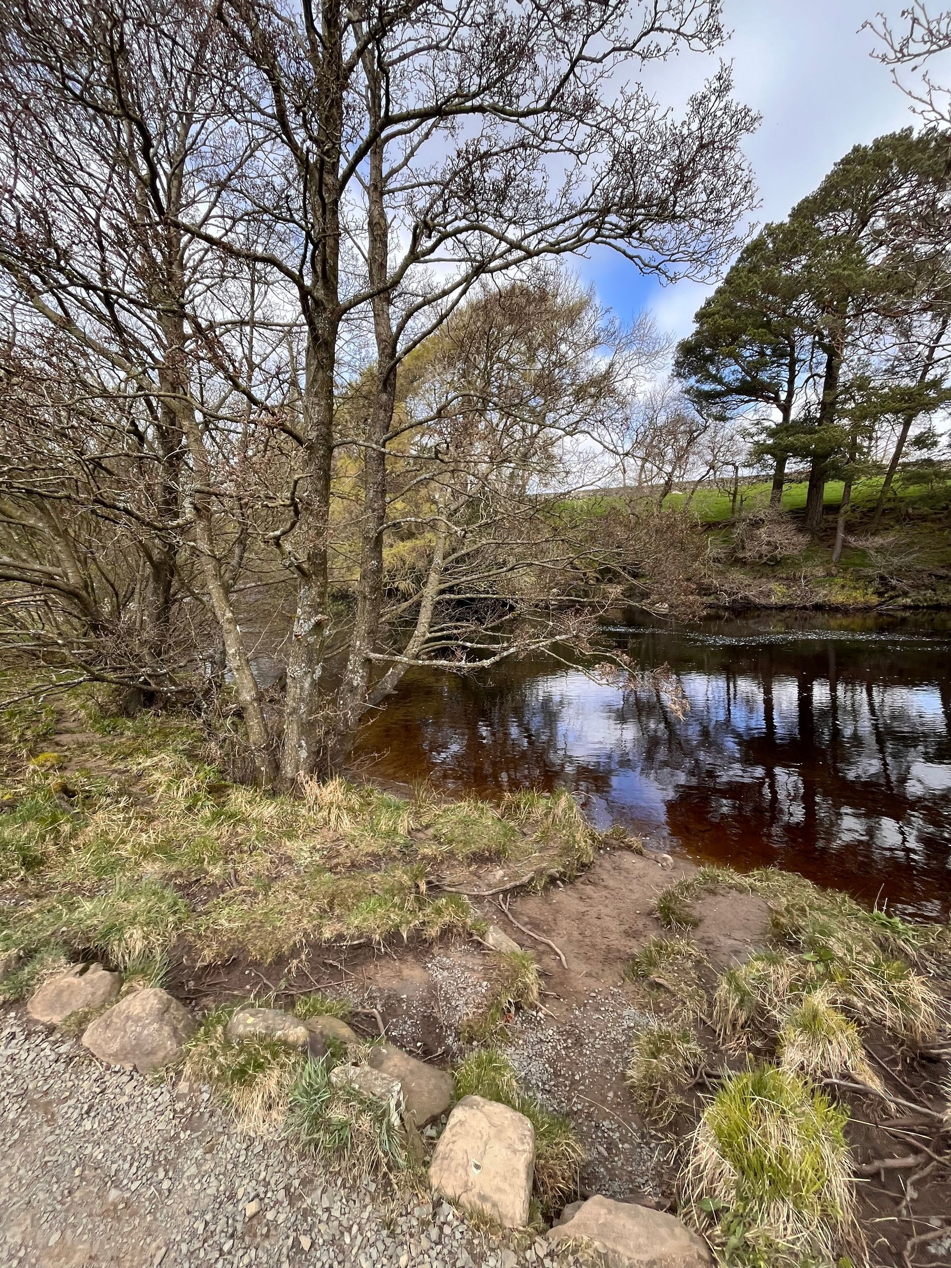 A river surrounded by trees and rocks in the middle of a field.