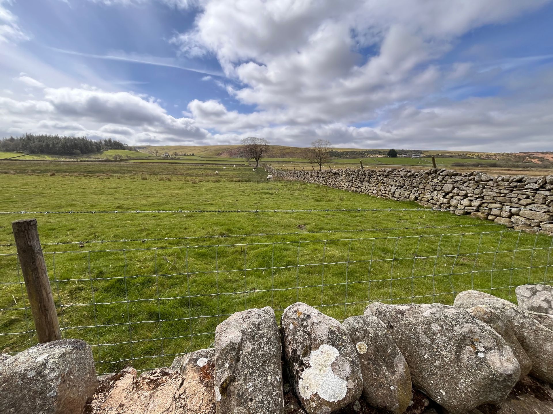 There is a stone wall in the foreground and a field in the background.