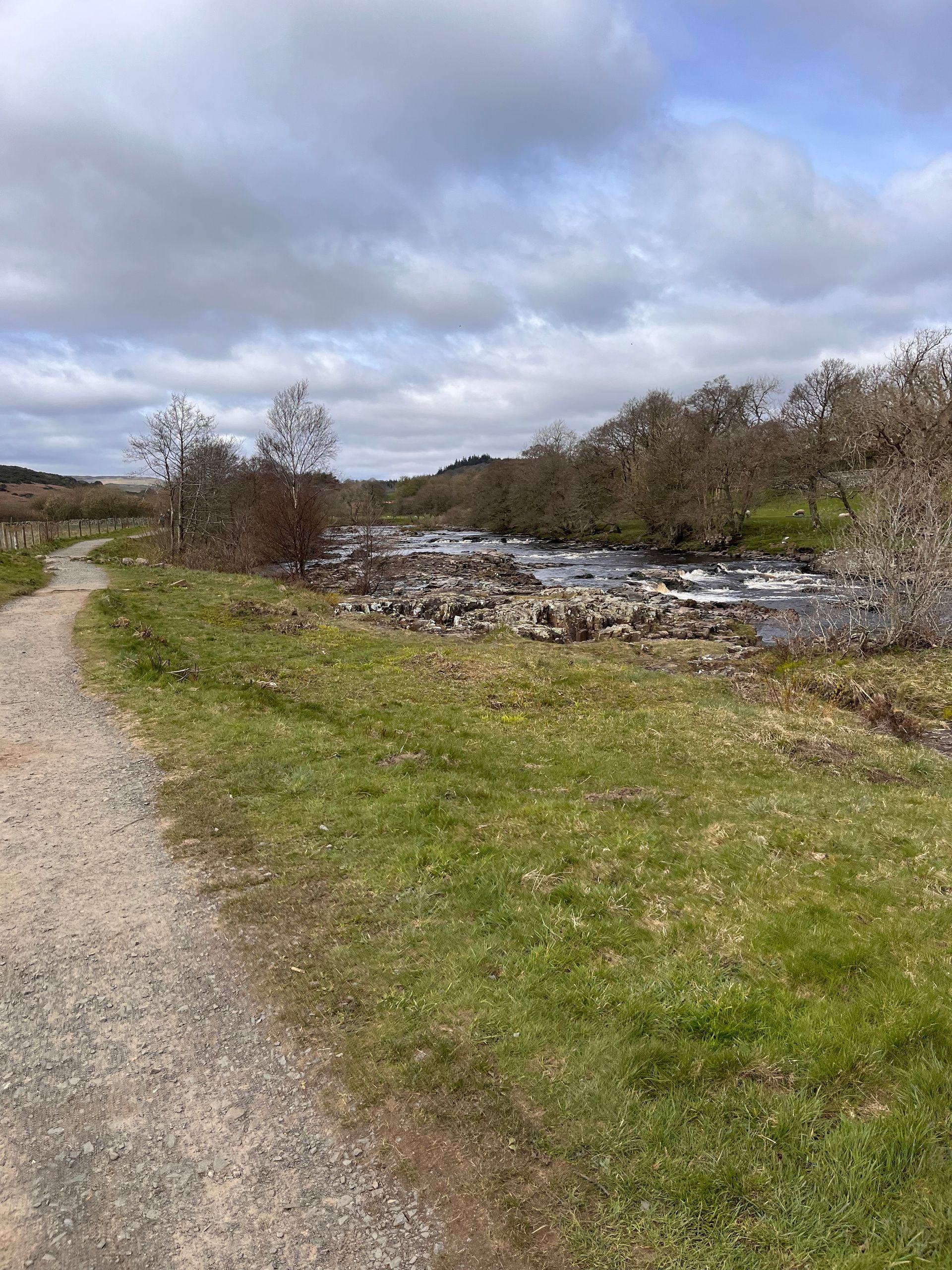 A dirt path going through a grassy field next to a river.