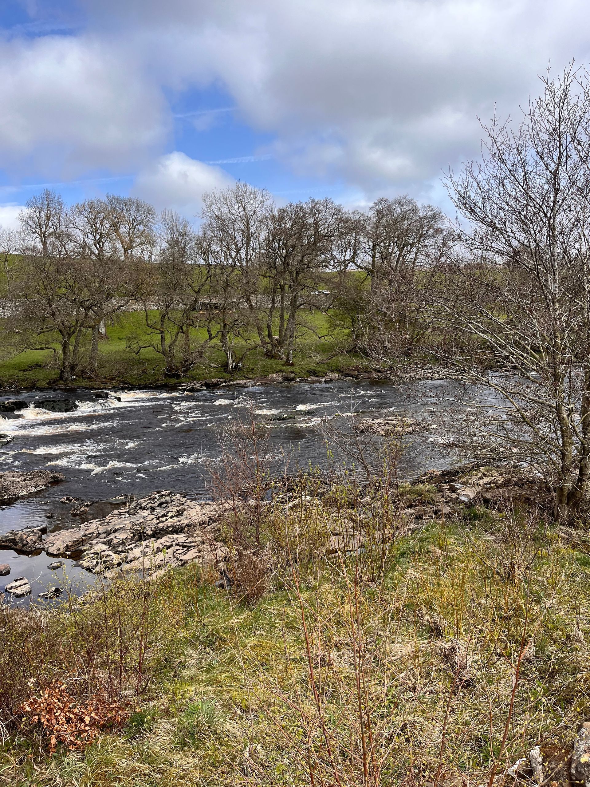 A river flowing through a grassy field surrounded by trees on a sunny day.