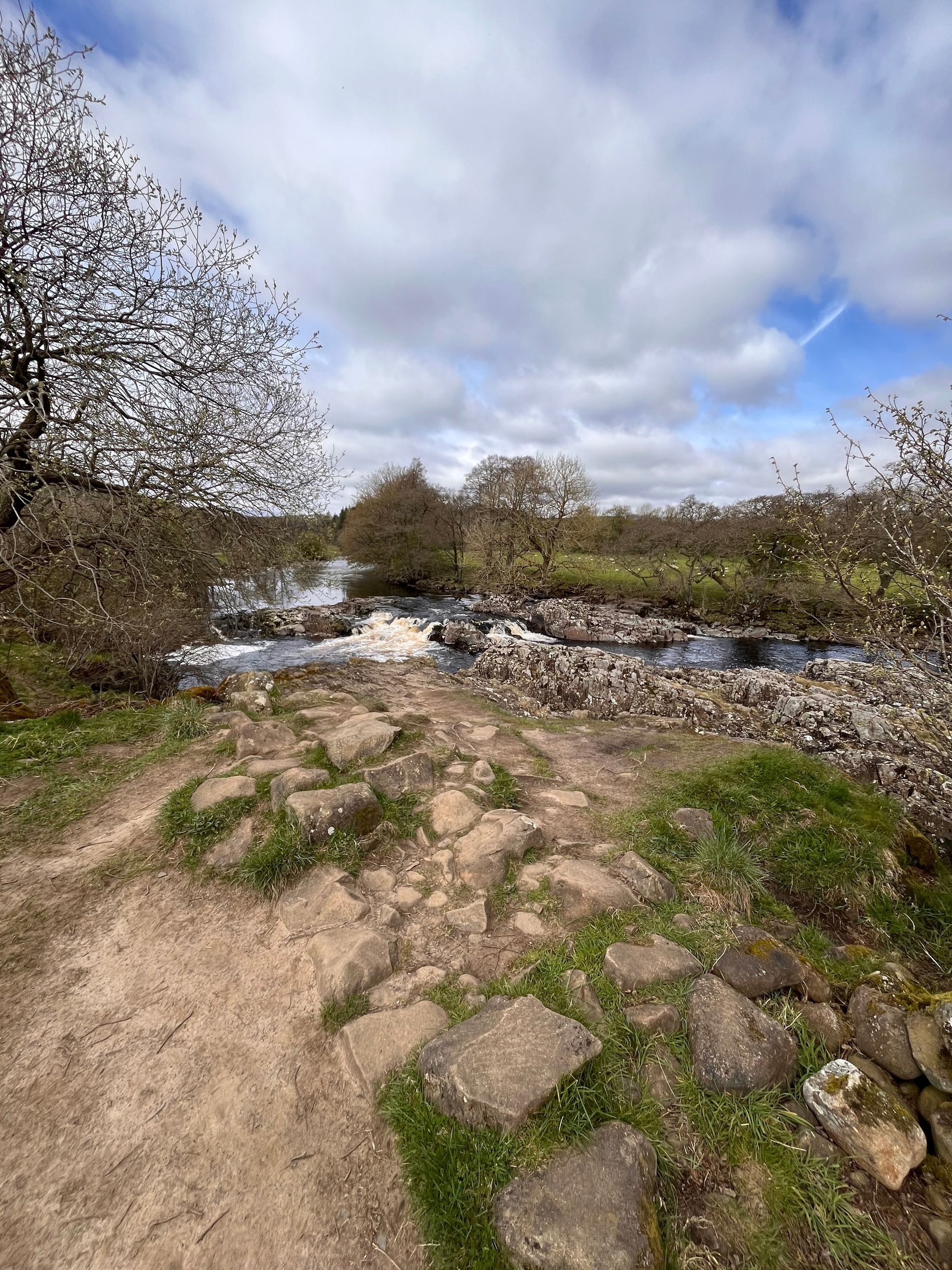 A dirt path leading to a river surrounded by trees and grass.
