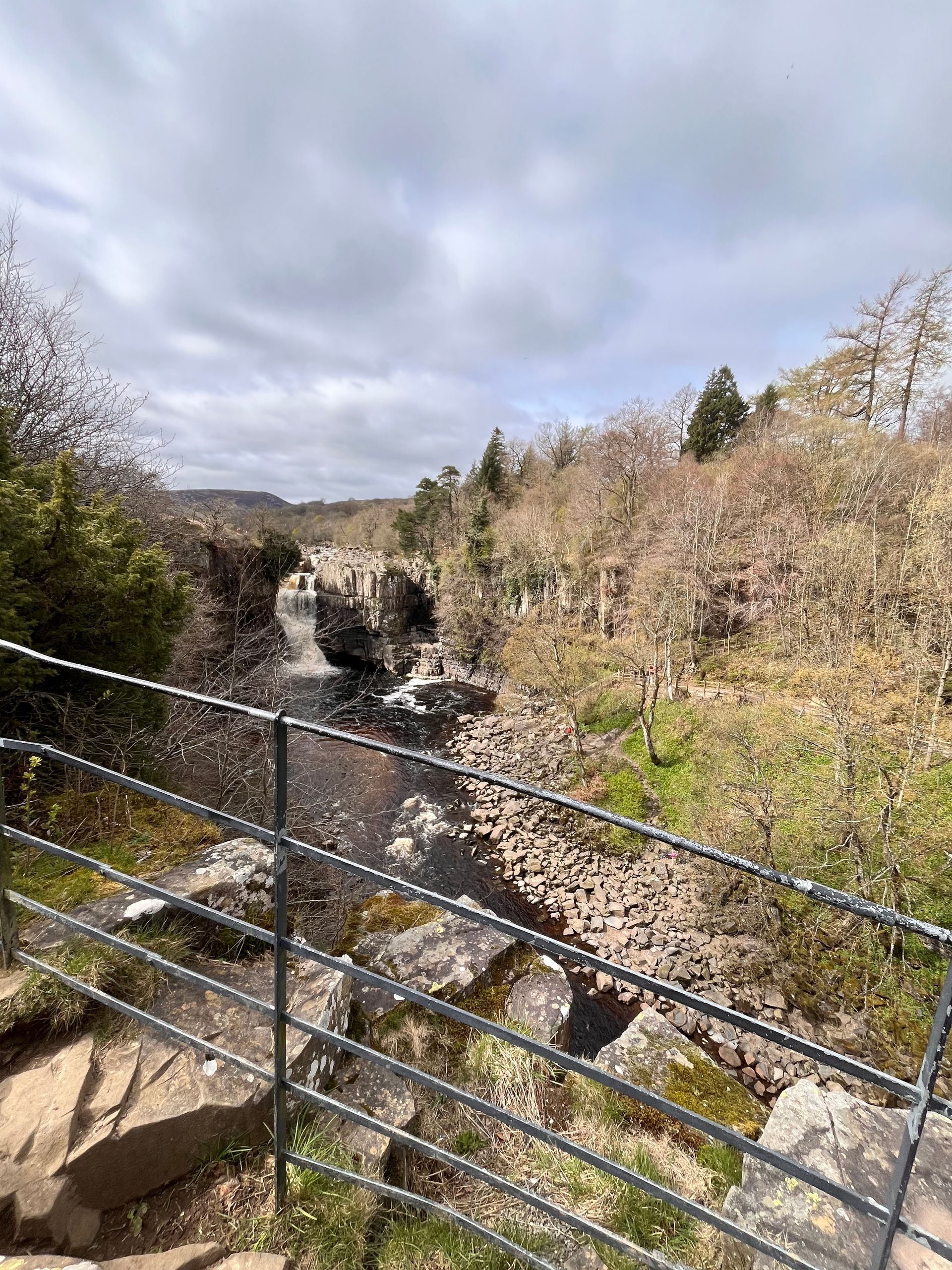 A river runs through a lush green forest behind a metal fence.