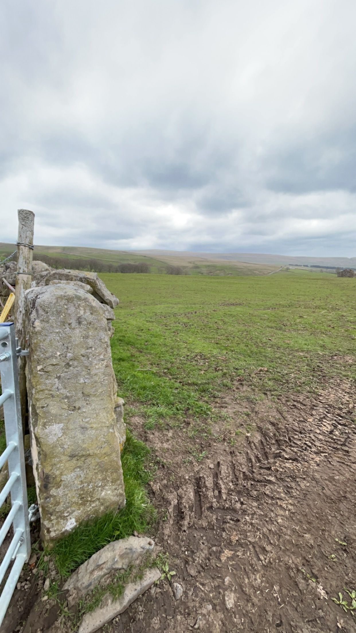 A stone wall surrounding a field with a gate in the foreground and a cloudy sky in the background.