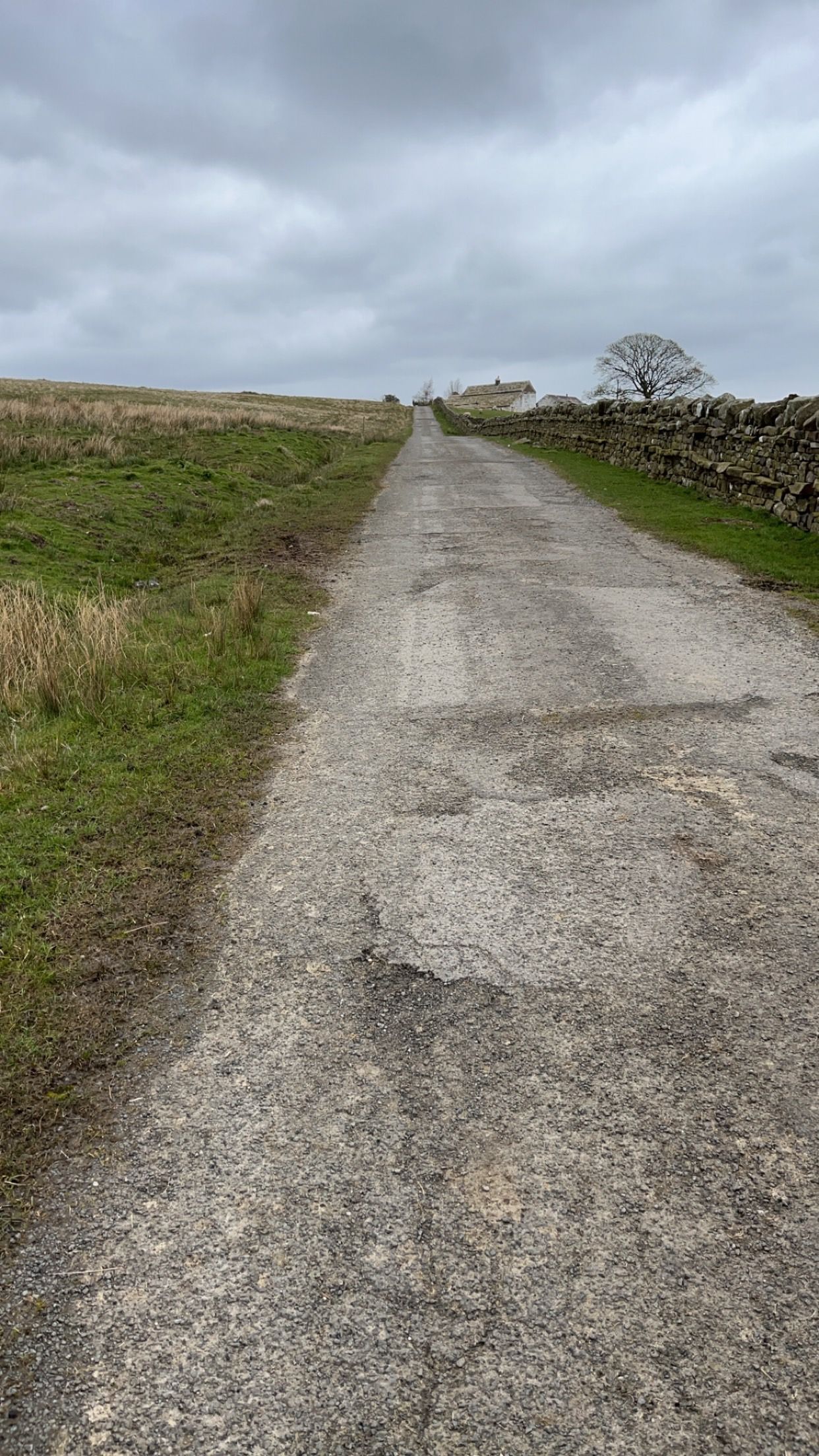 A dirt road going through a grassy field on a cloudy day.