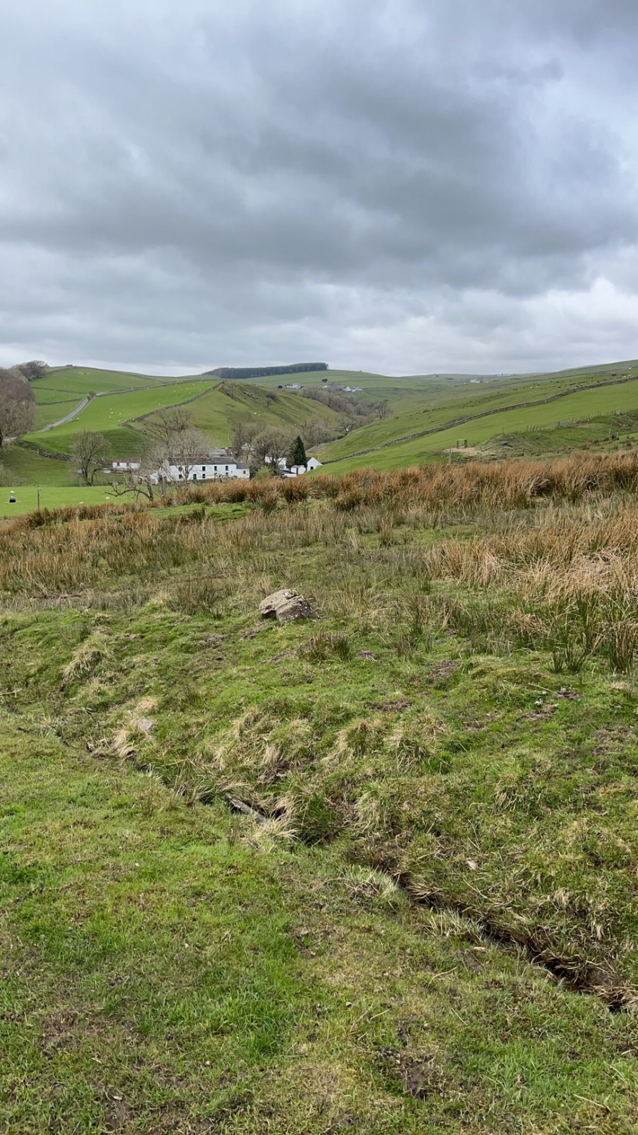 A grassy field with a house in the background on a cloudy day.