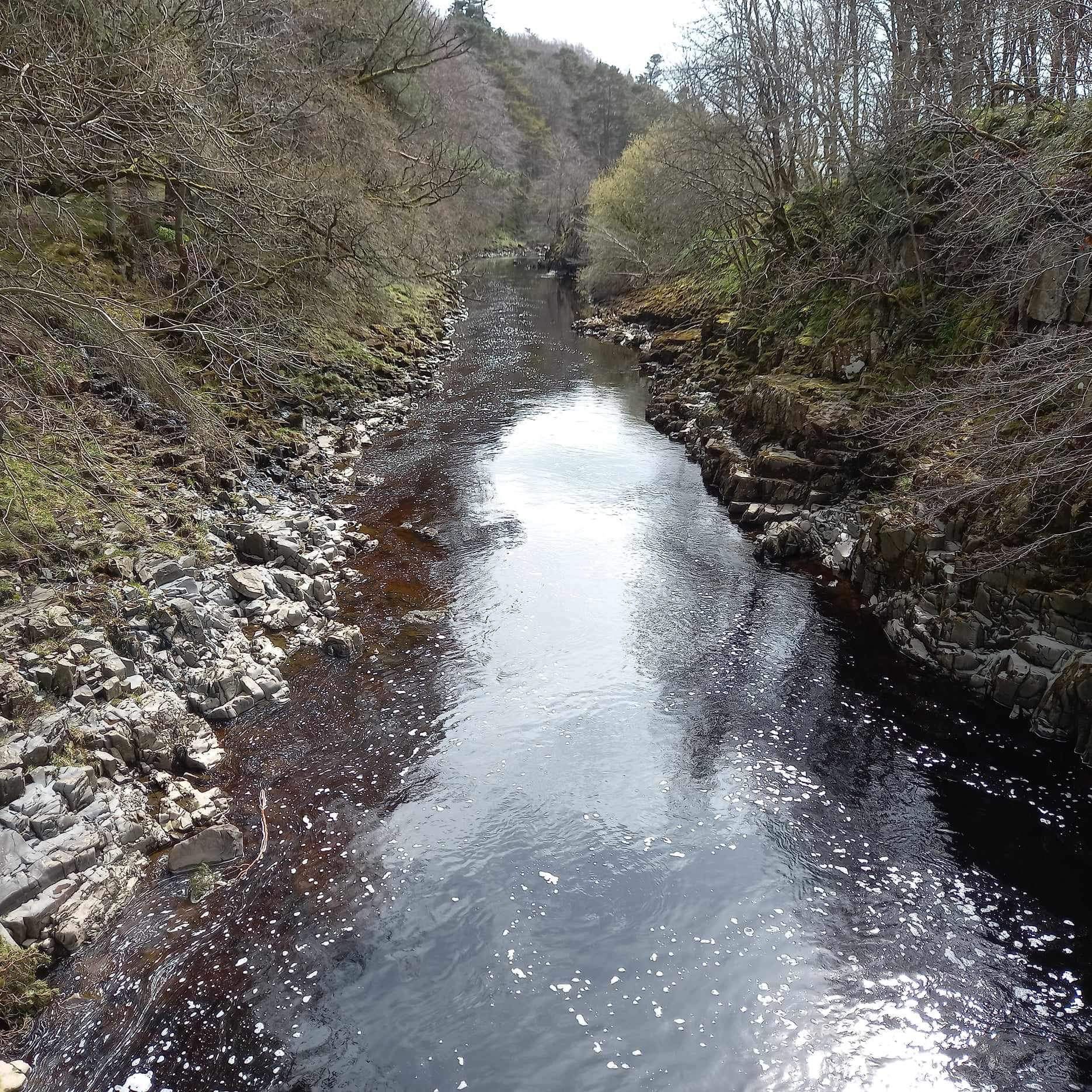 A river surrounded by rocks and trees on a sunny day