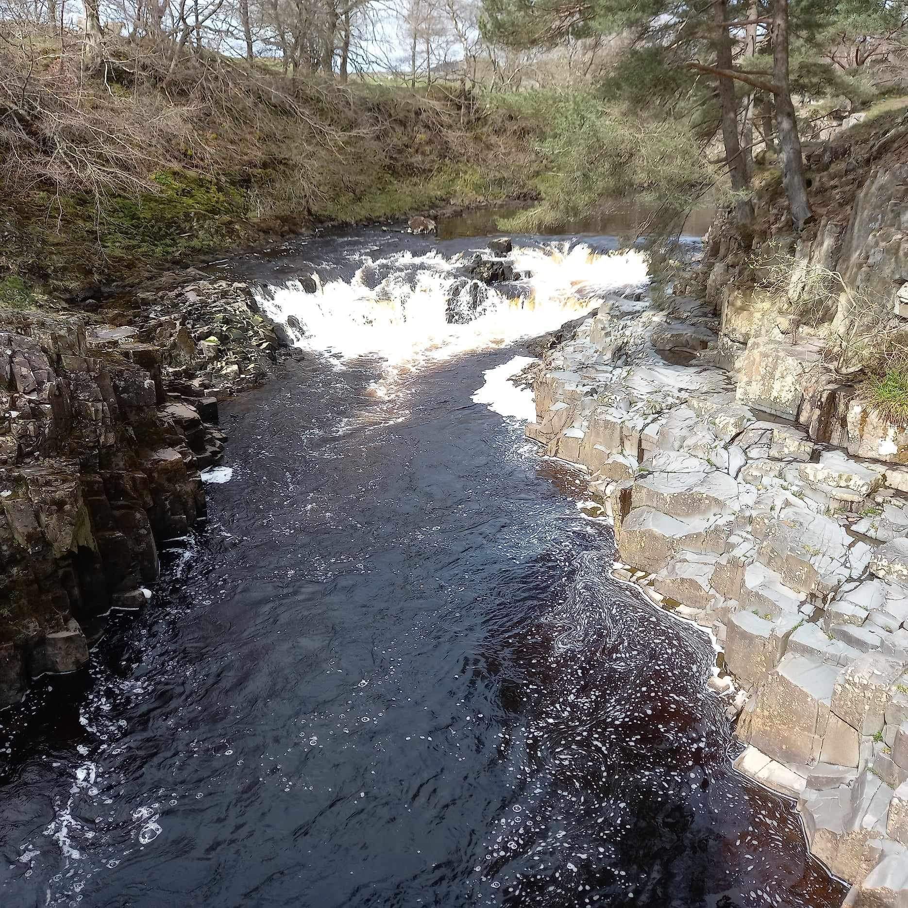 A river flowing through a rocky area with trees in the background