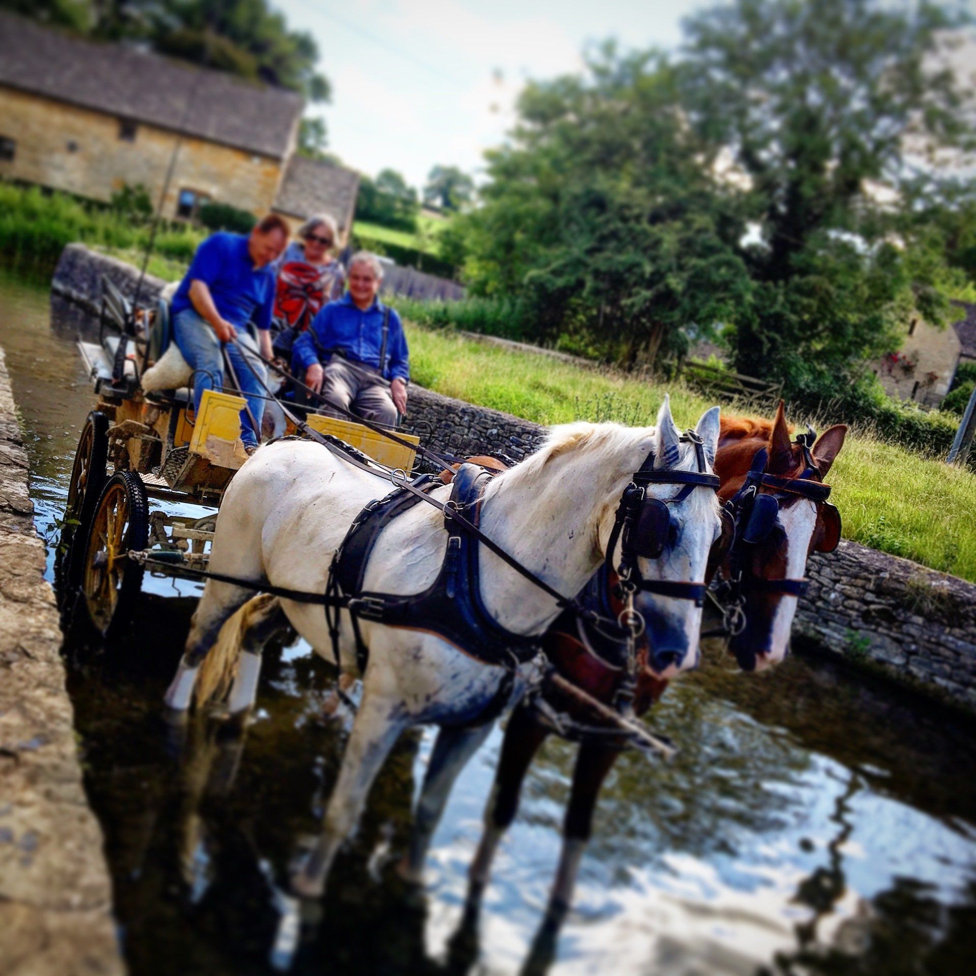 horse and cart fording the river at lower slaughter