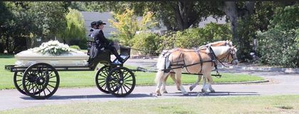 Funeral — Oakley, CA — Fancy Ferriage by Horse and Carriage