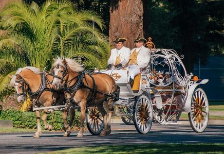 Carriage For Private Events — Oakley, CA — Fancy Ferriage by Horse and Carriage