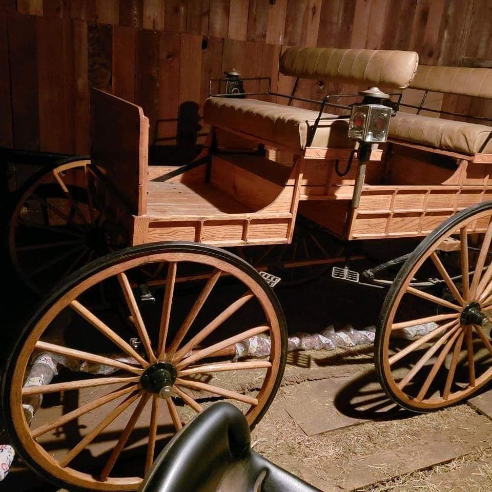 Carriage — Oakley, CA — Fancy Ferriage by Horse and Carriage