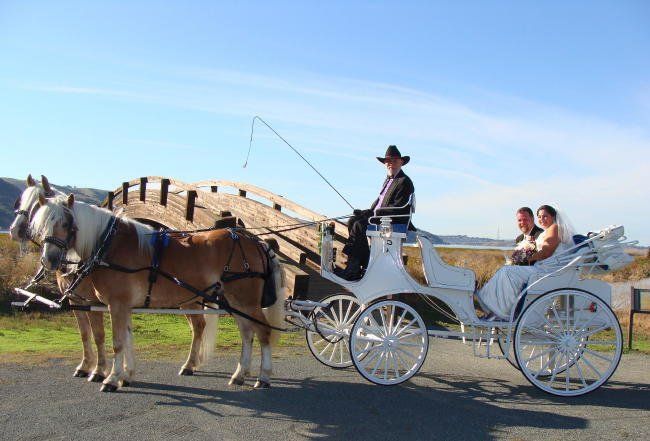 Wedding — Oakley, CA — Fancy Ferriage by Horse and Carriage