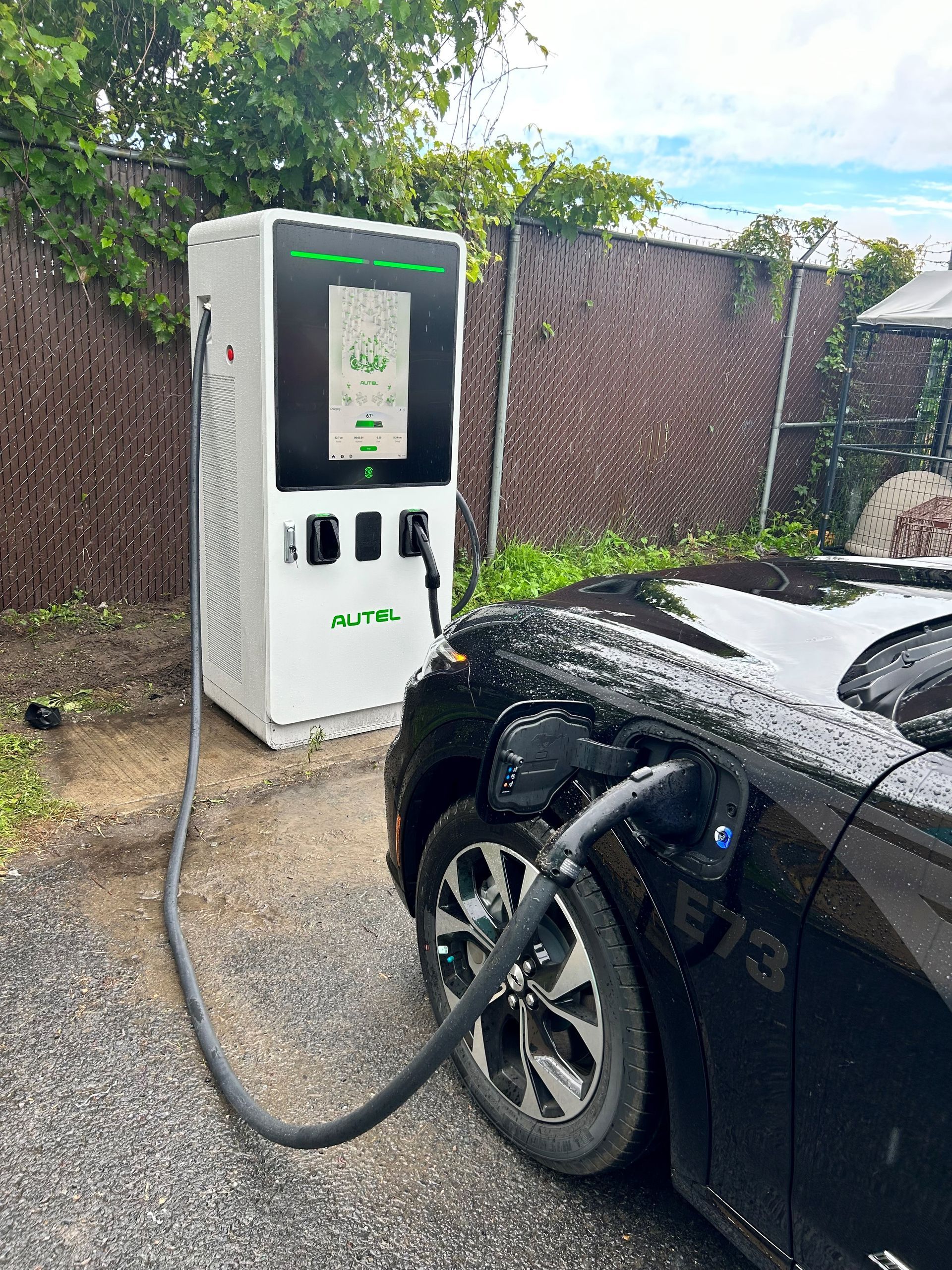 Une voiture électrique noire est en cours de recharge dans une borne de recharge.