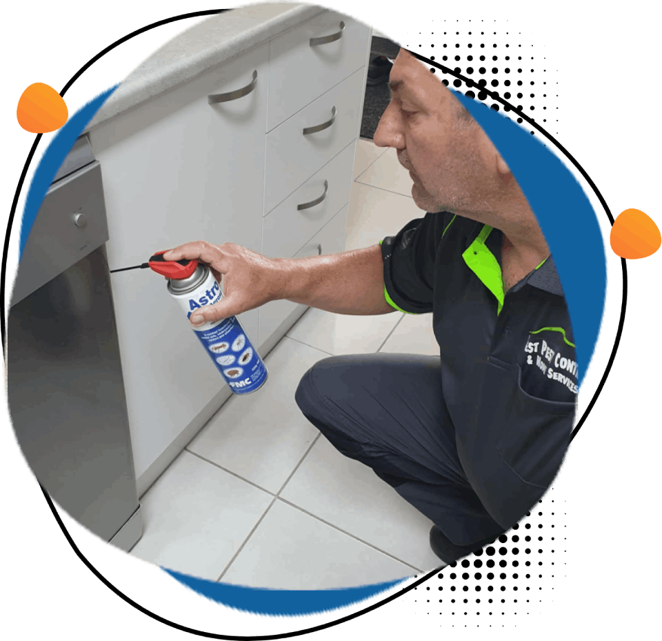 A man is spraying a can of ant spray on a cabinet.