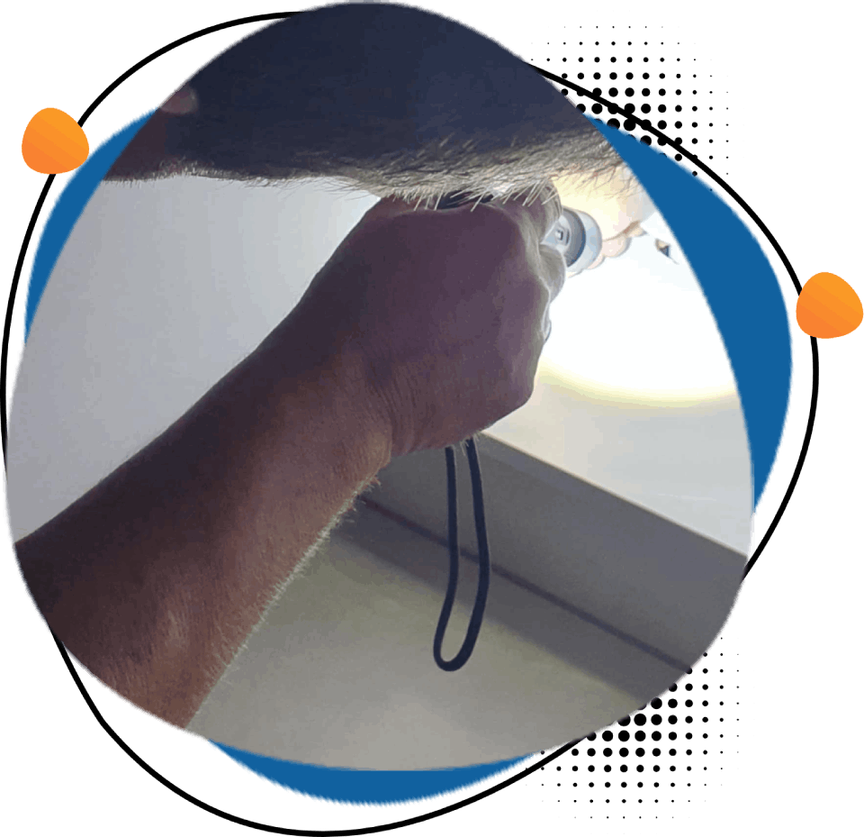 A person is holding a light bulb in their hand